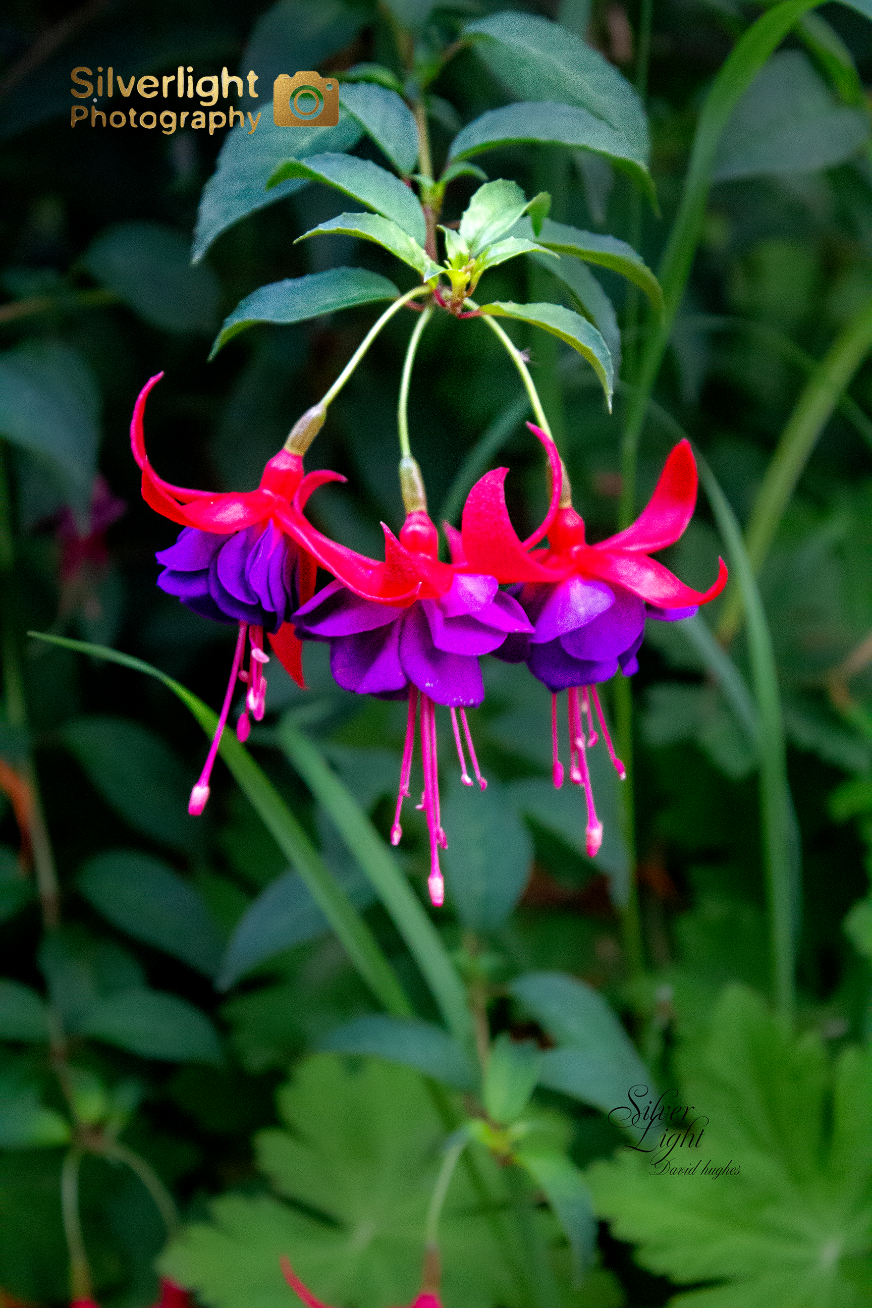 Blank Wall Gallery, in Athens, Greece.