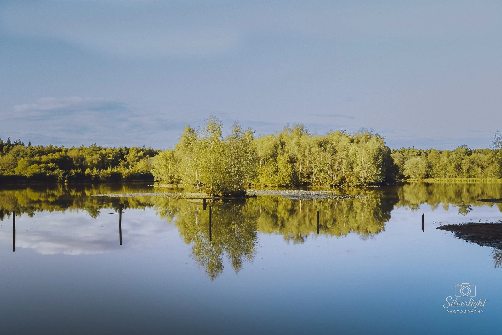 Photographer of the year