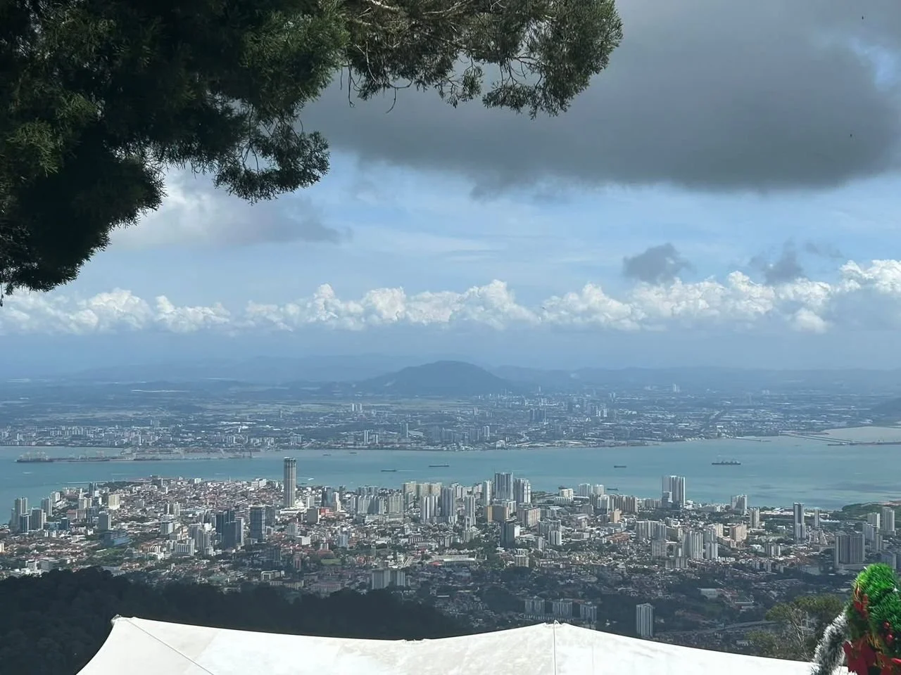 槟城升旗山生态公园：漫步雨林之巅，俯瞰原始森林美景。The Habitat: An eco-park atop Penang Hill offering breathtaking rainforest canopy walks and ancient forest views.