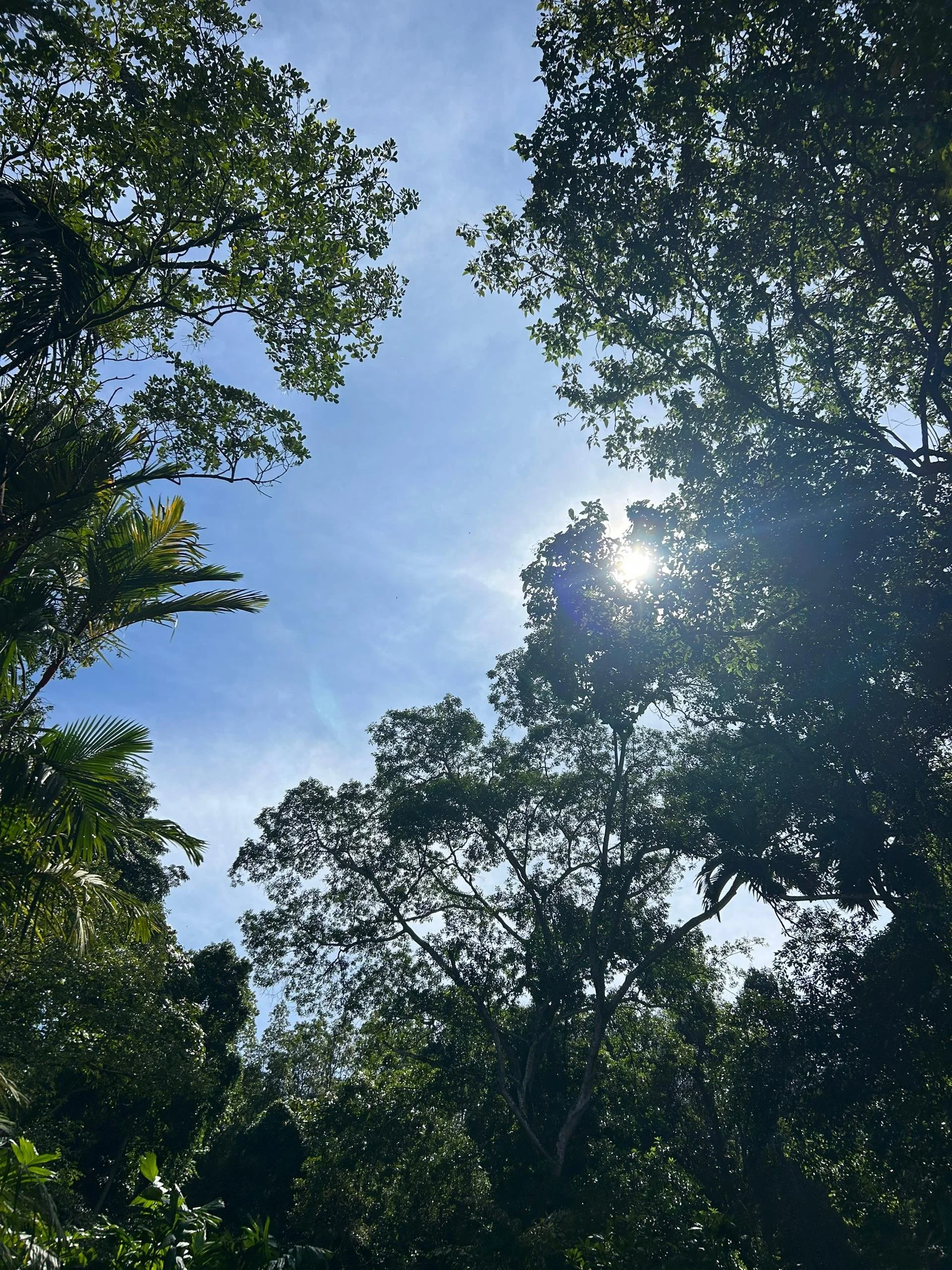 心语网站将会有六个部分，每个部分都是心语的核心，希望成为生活中我们感受、体会以及察觉到爱的瞬间。About Us: Xinyu is built upon six core sections that define our essence. We strive to be a sanctuary where you can sense, embrace, and discover the many moments of love that surround us every day.