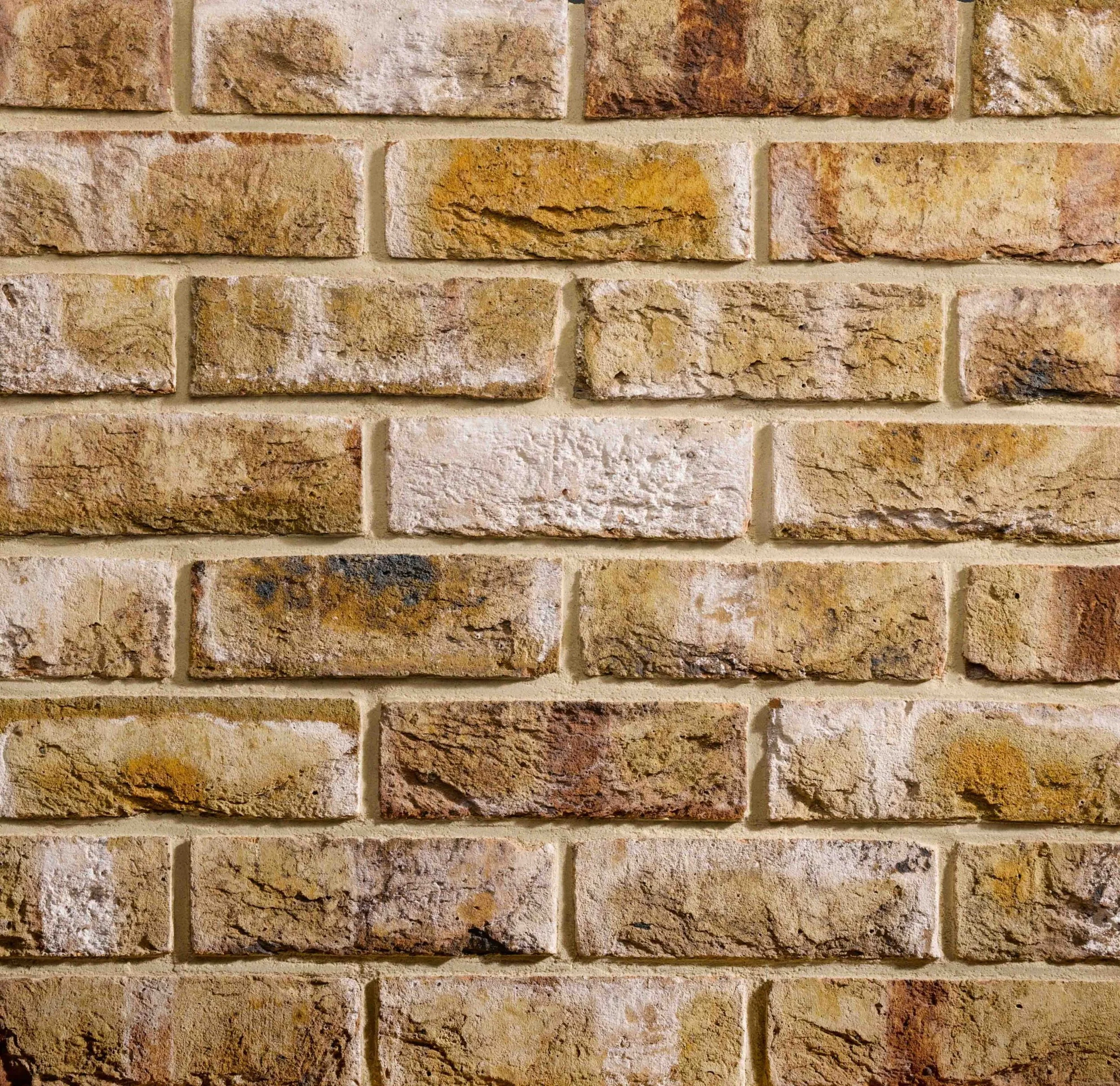 Close-up of a brick wall with beige, brown, and white bricks.