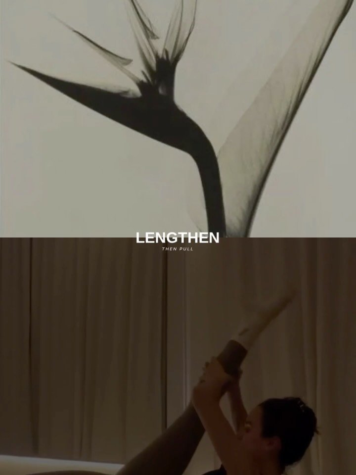 The Cues: how you move here
becomes how you move everywhere

lengthen
expand
root

South Austin. Studio Pilates. Pilates mat. Instructor. 

#southaustin #pilatesforall #elstudiopilates #cueing