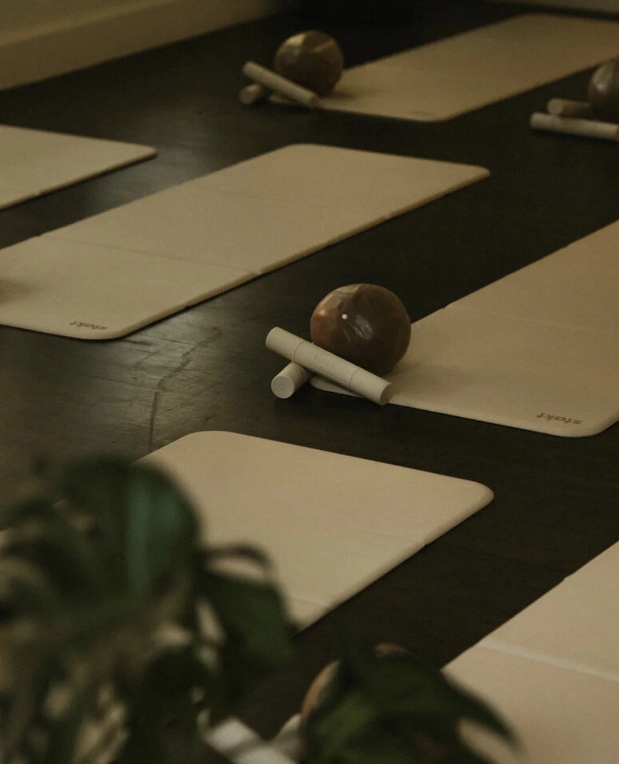 Yoga mats, wooden balls, and foam rollers arranged on a dark floor, with a leafy plant in the foreground.