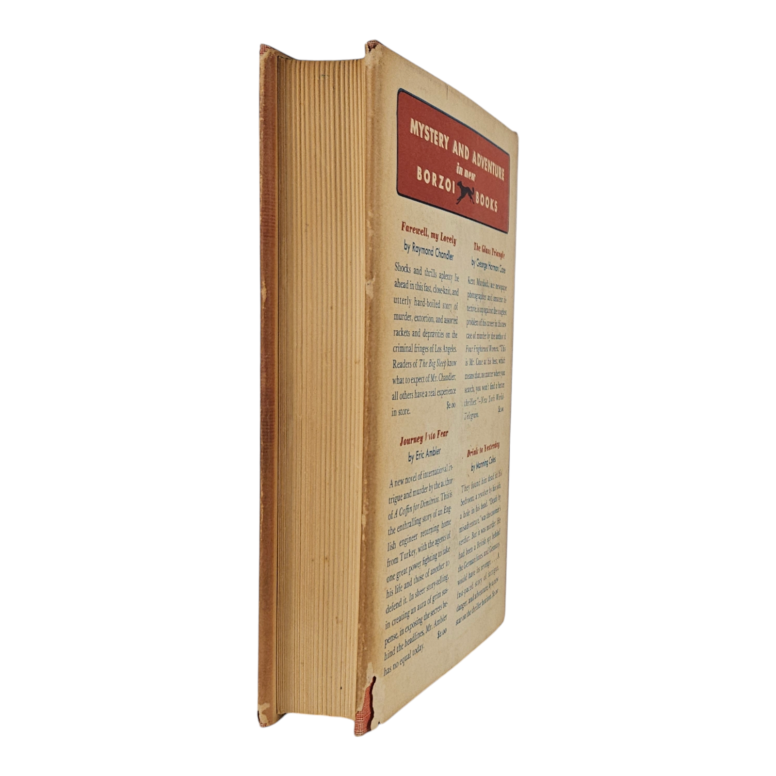 Photoroom-20250212_053315_6.png