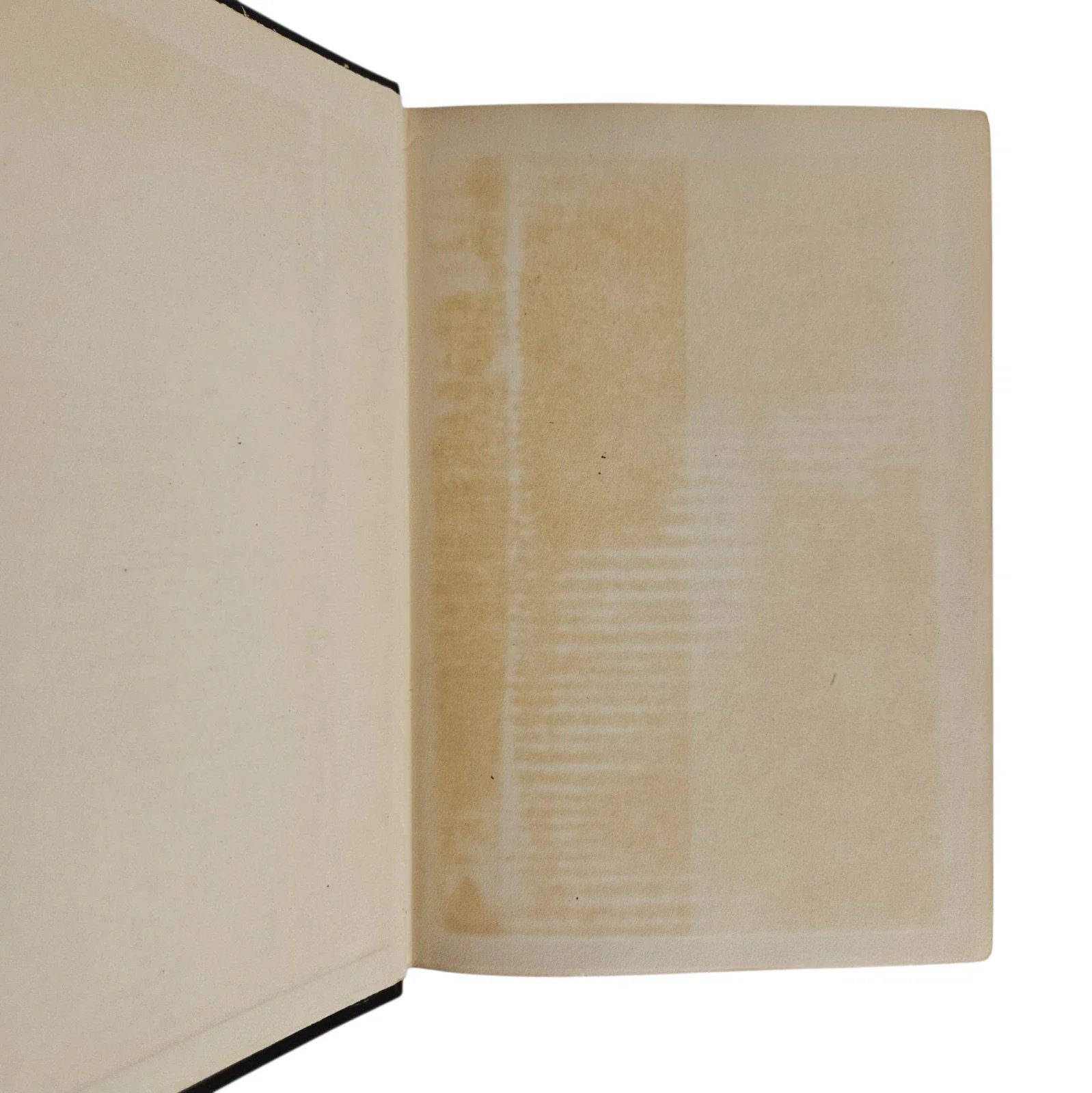 s-l1600 - 2026-06-09T143724.667.webp