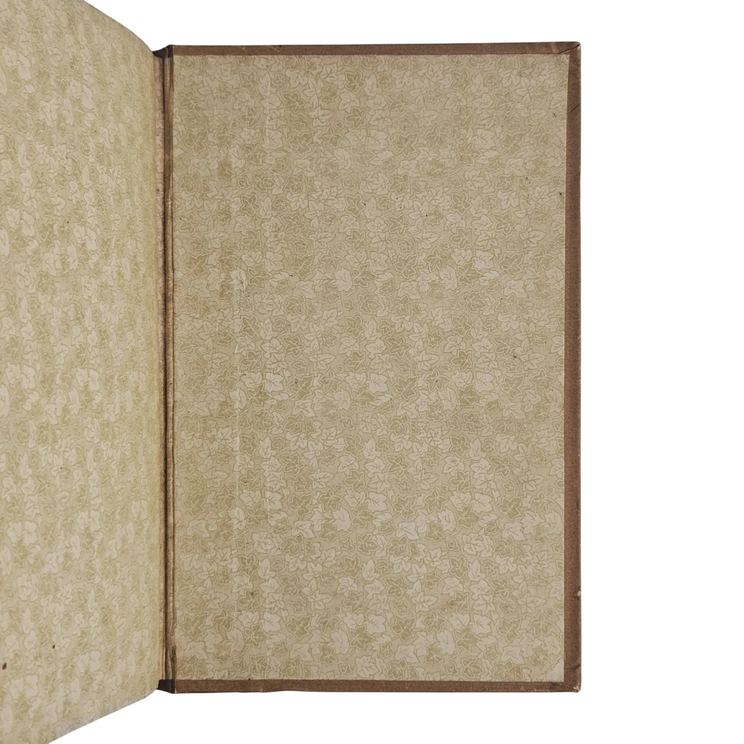 transparent-Photoroom.jpg