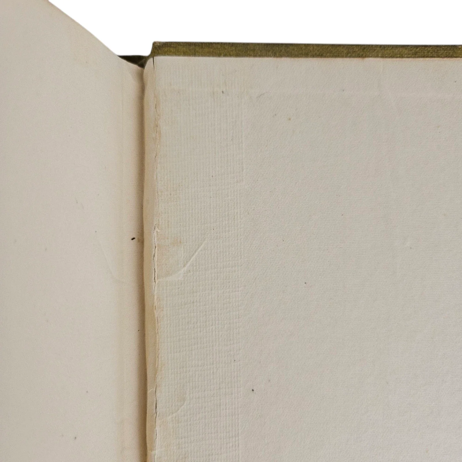s-l1600 - 2026-06-09T144641.259.webp
