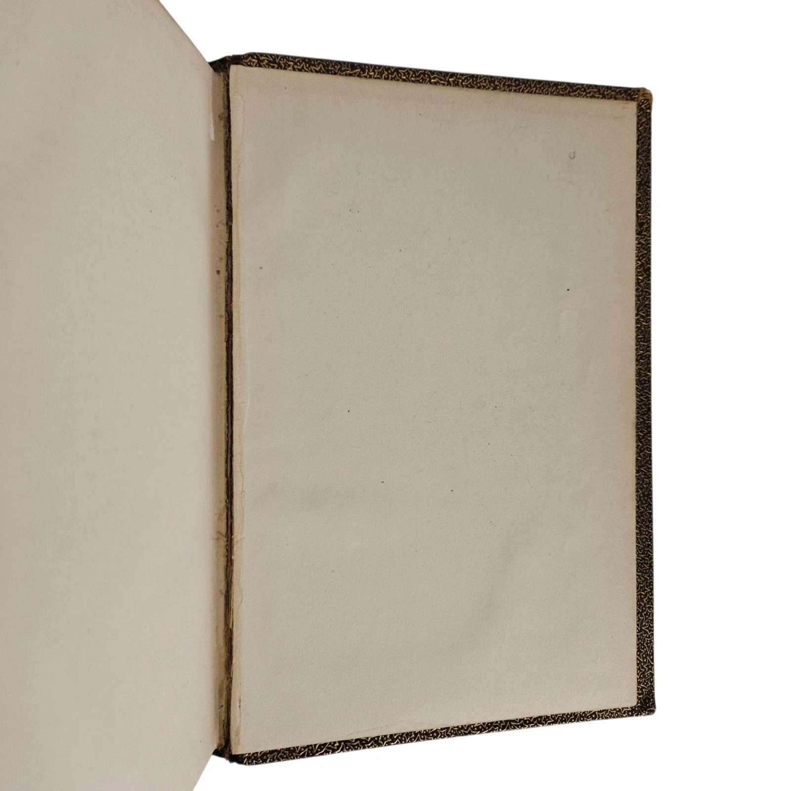 s-l1600 (31).webp