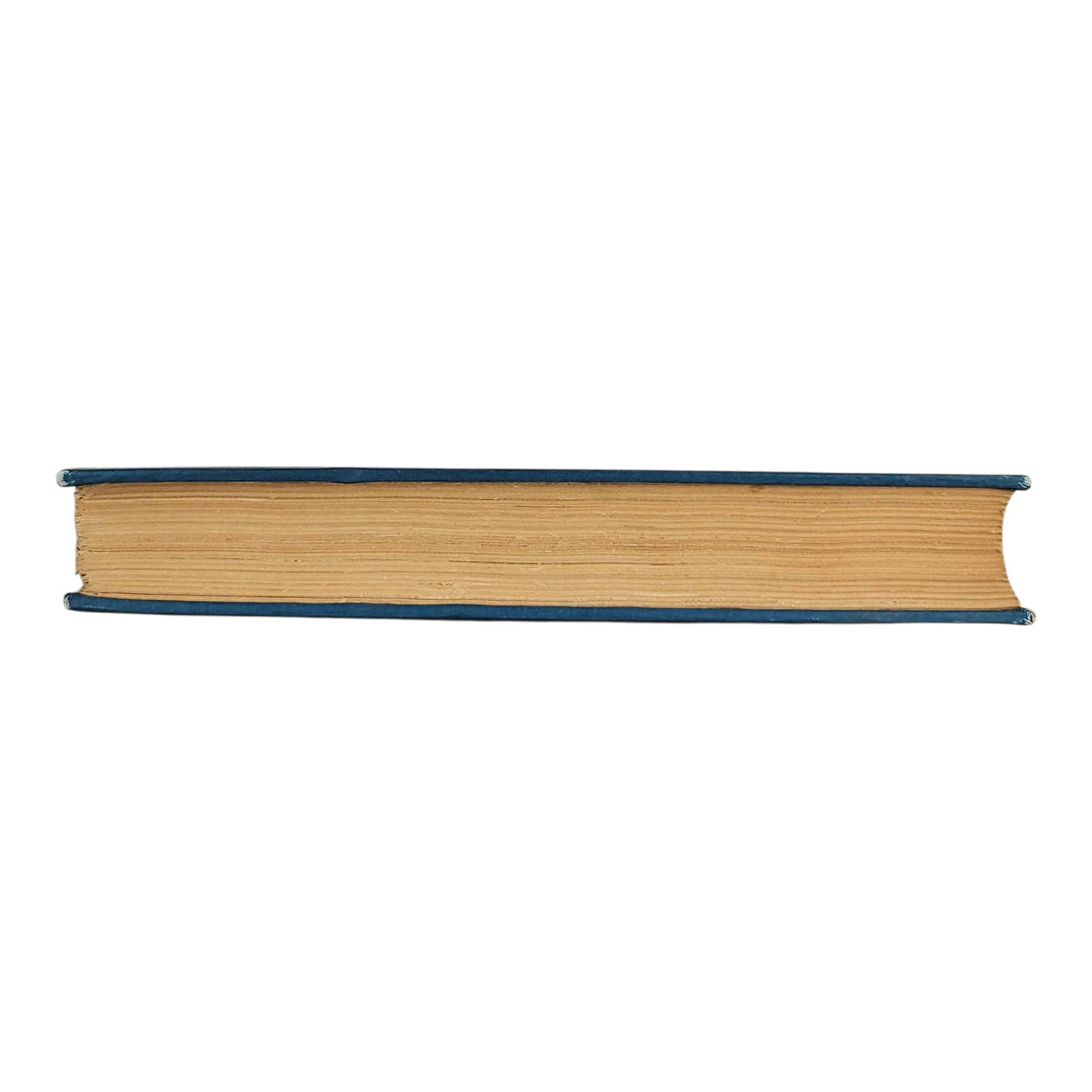 Photoroom-20250907_170507_6.png