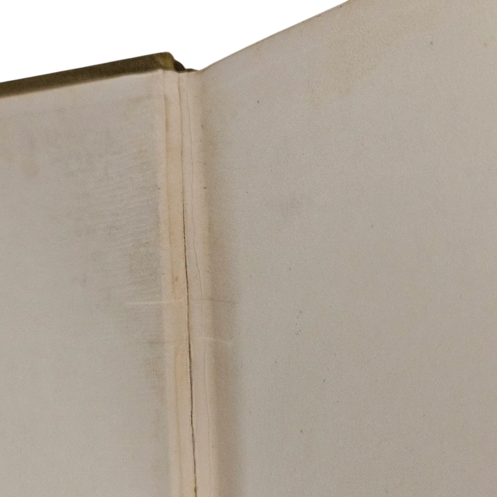 s-l1600 - 2026-06-09T144649.260.webp