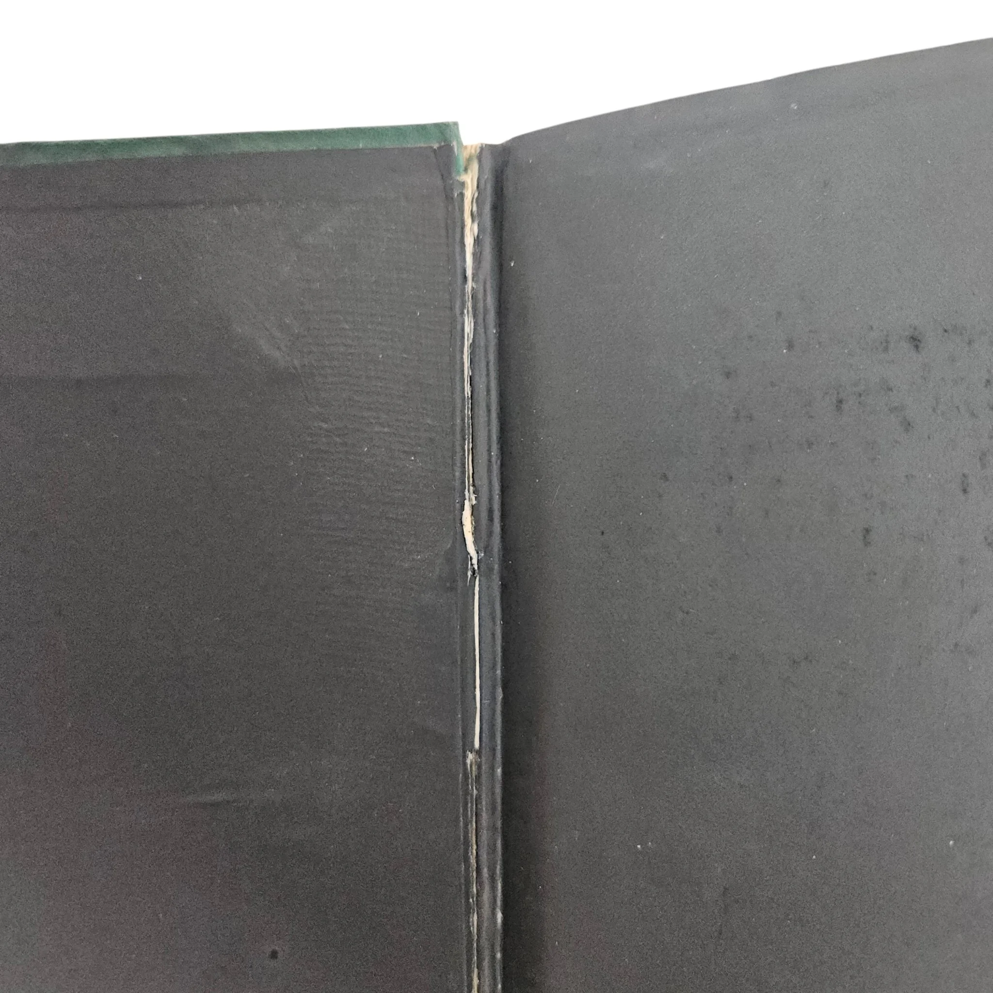 20260715_092244-Photoroom.jpg