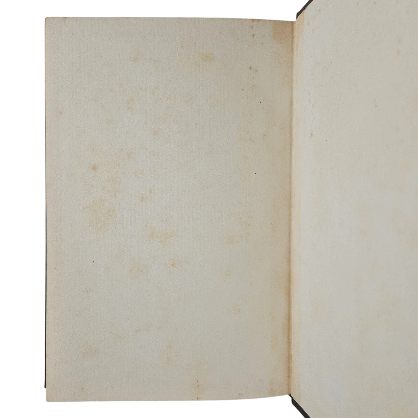 s-l1600 (81).webp