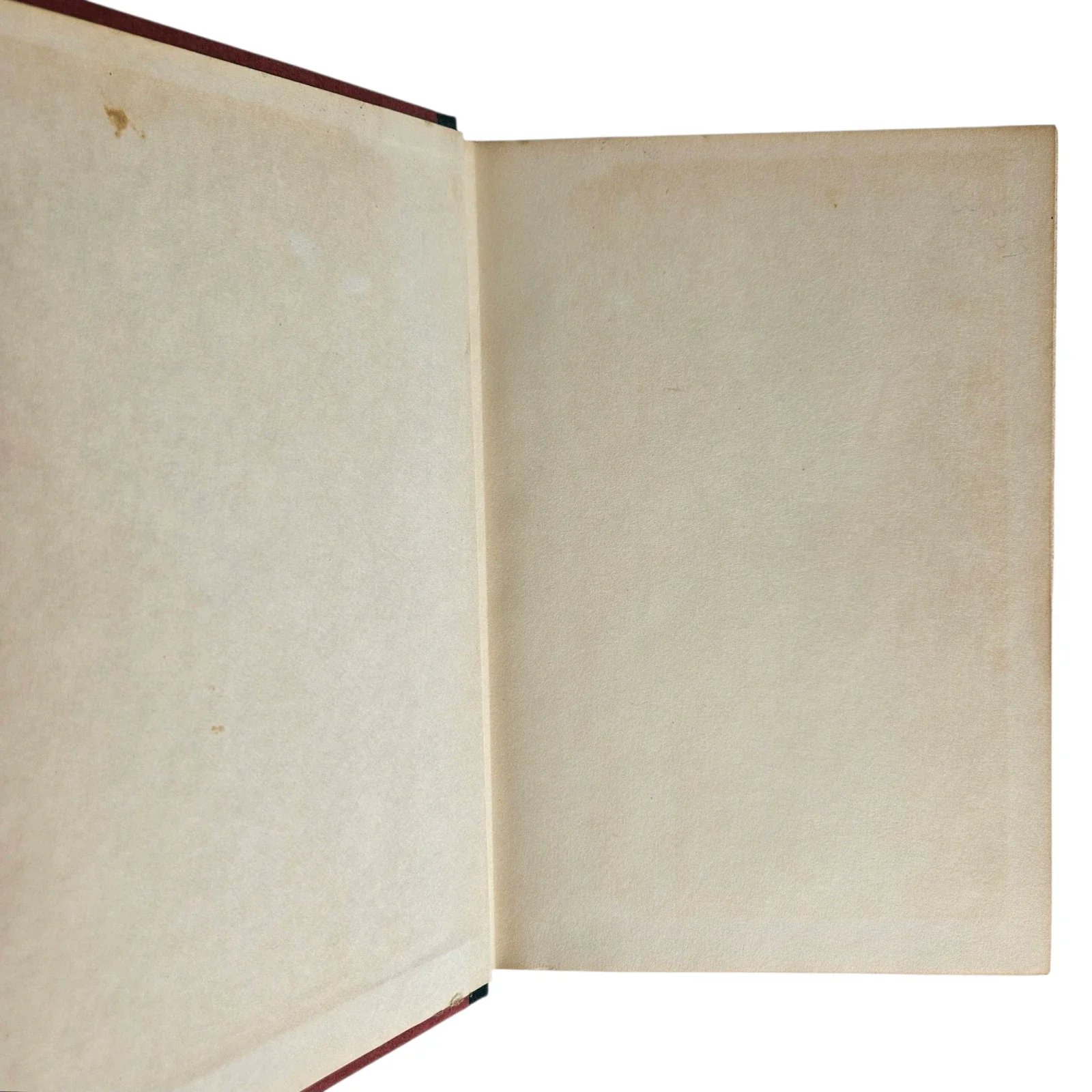 s-l1600 - 2026-06-09T145615.050.webp