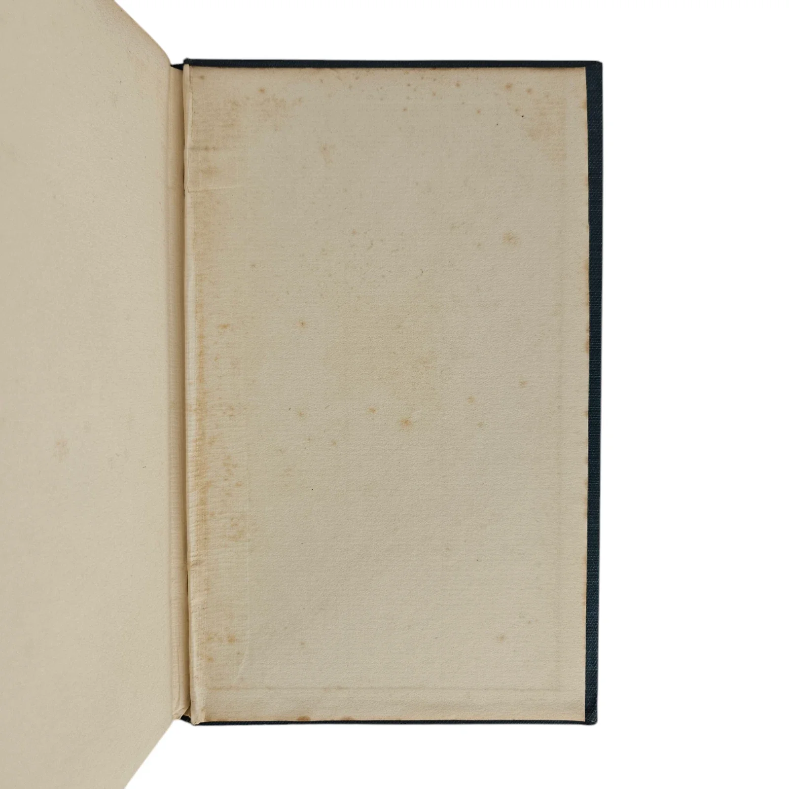 s-l1600 - 2026-06-09T221914.956.webp