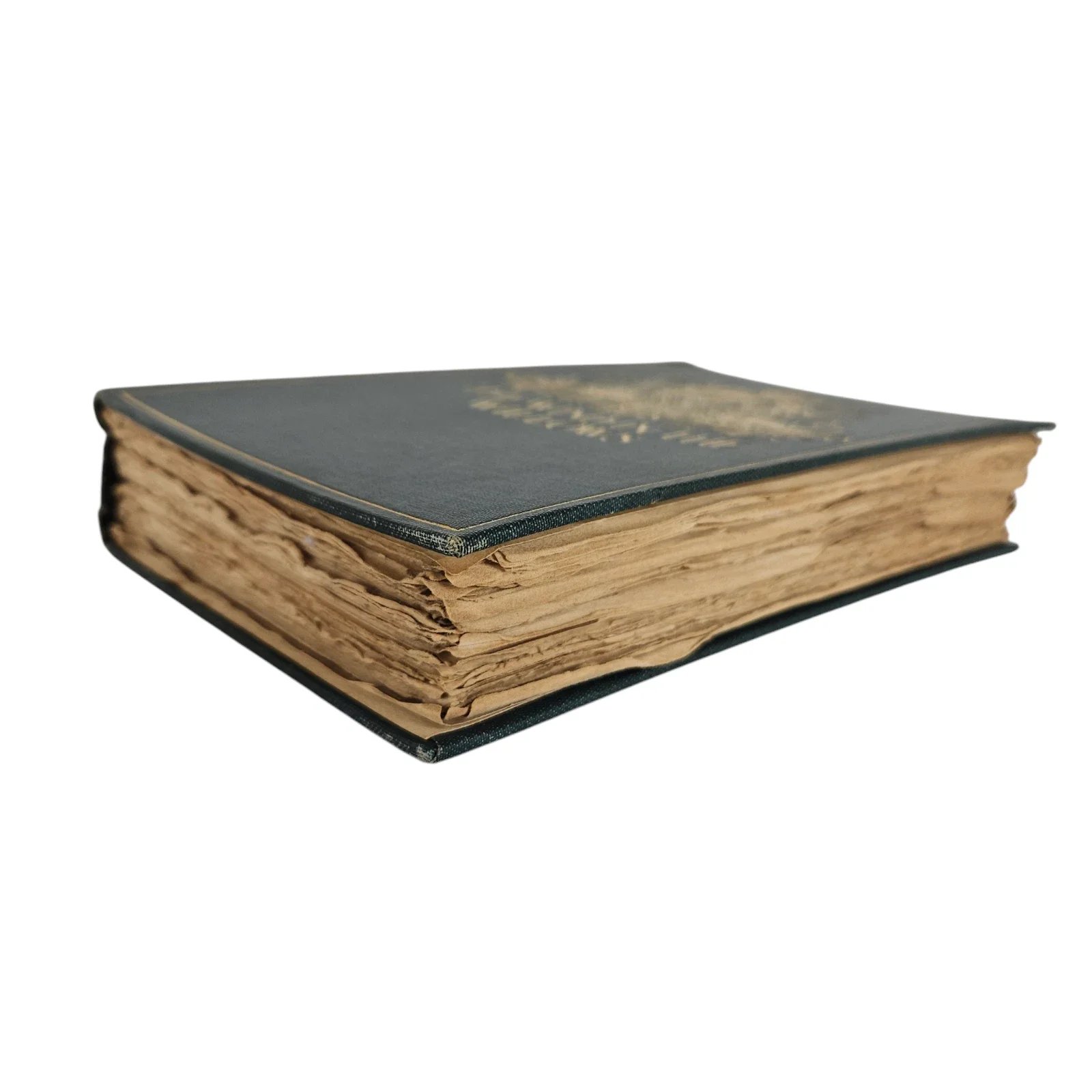 s-l1600 - 2026-06-09T221907.390.webp
