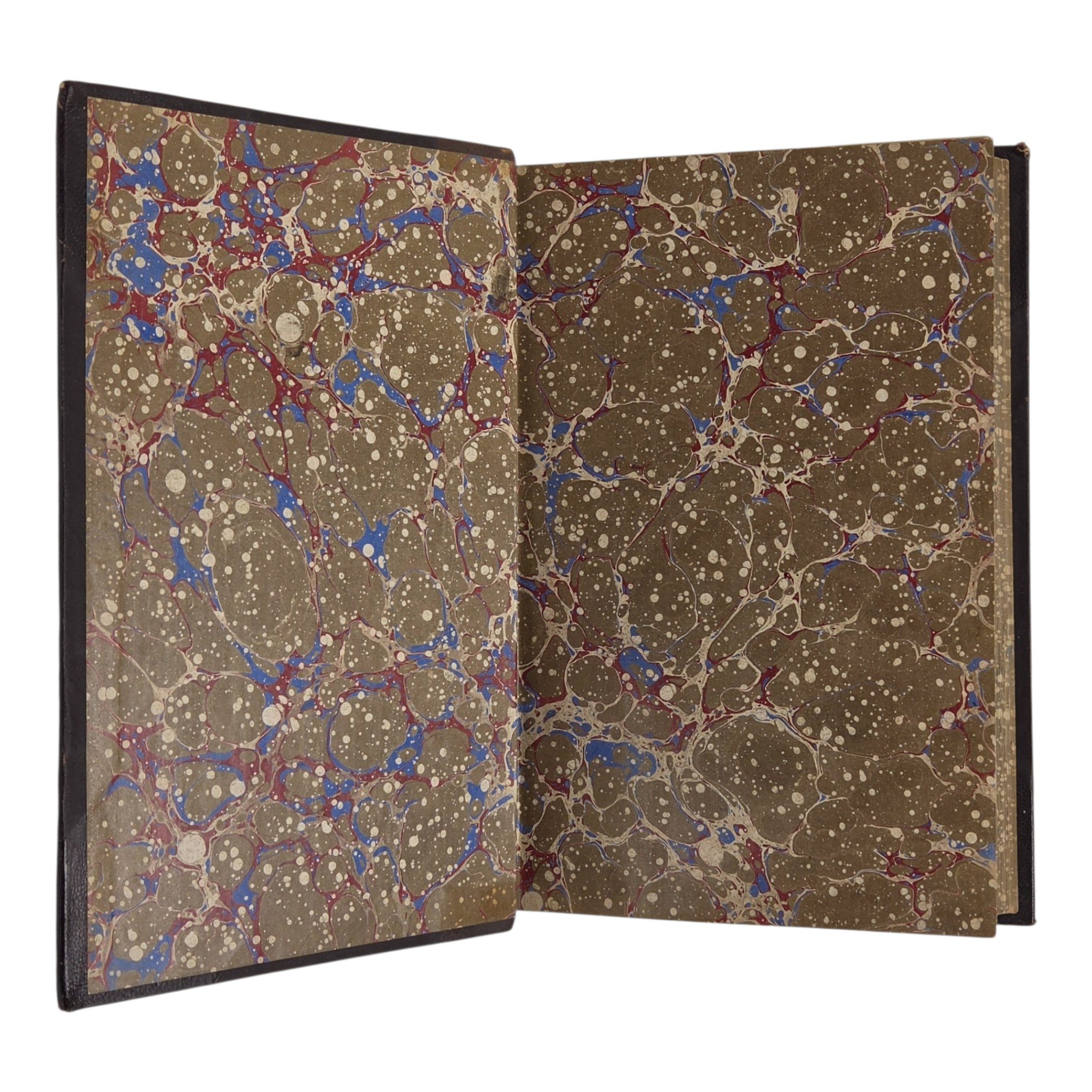 20261006_233518-Photoroom.jpg