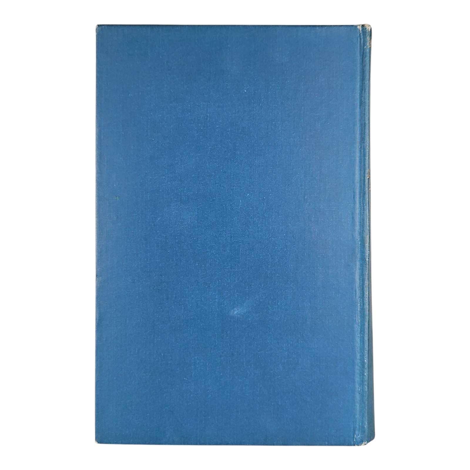 Photoroom-20250907_170507_4.png