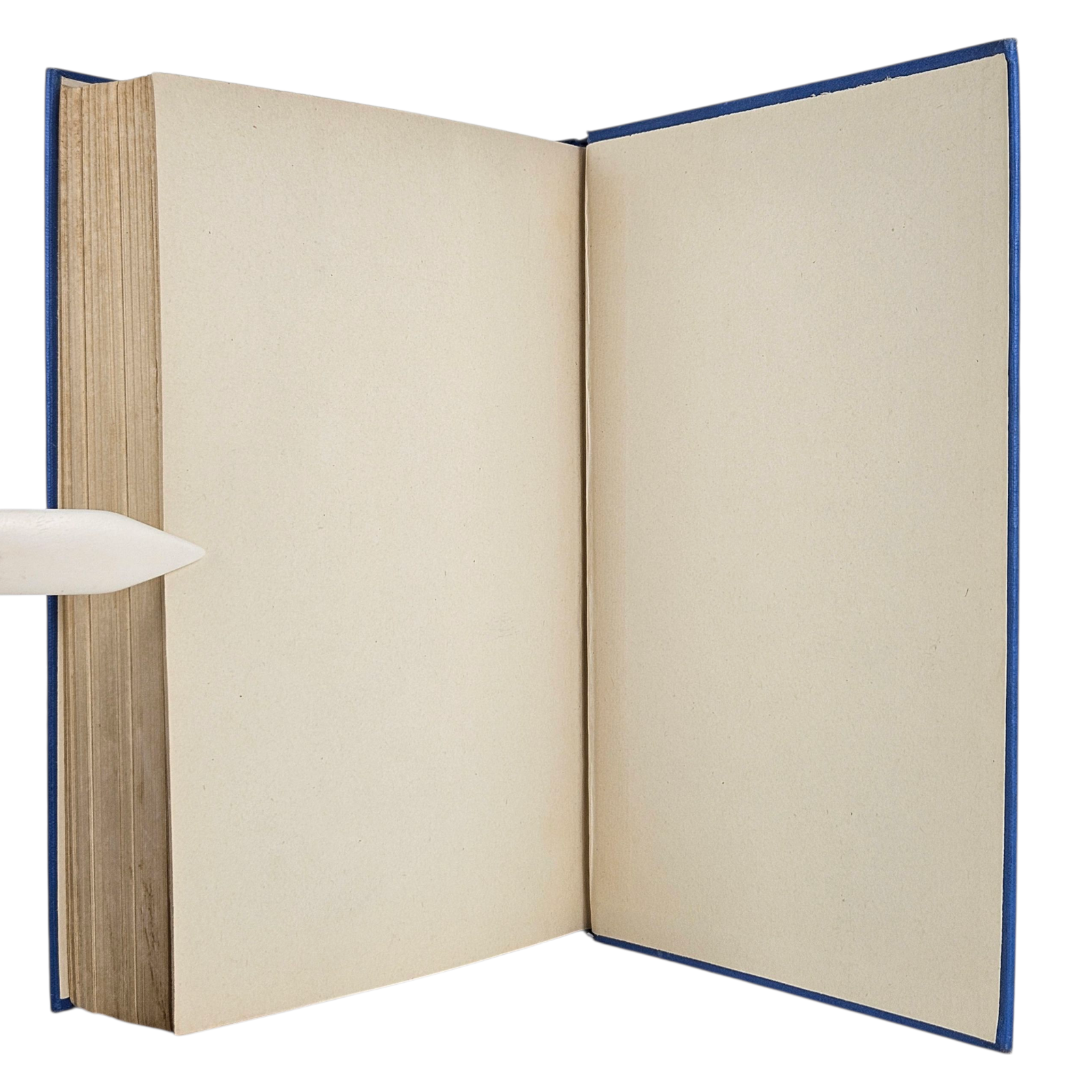 Photoroom-20250816_072307_10.png