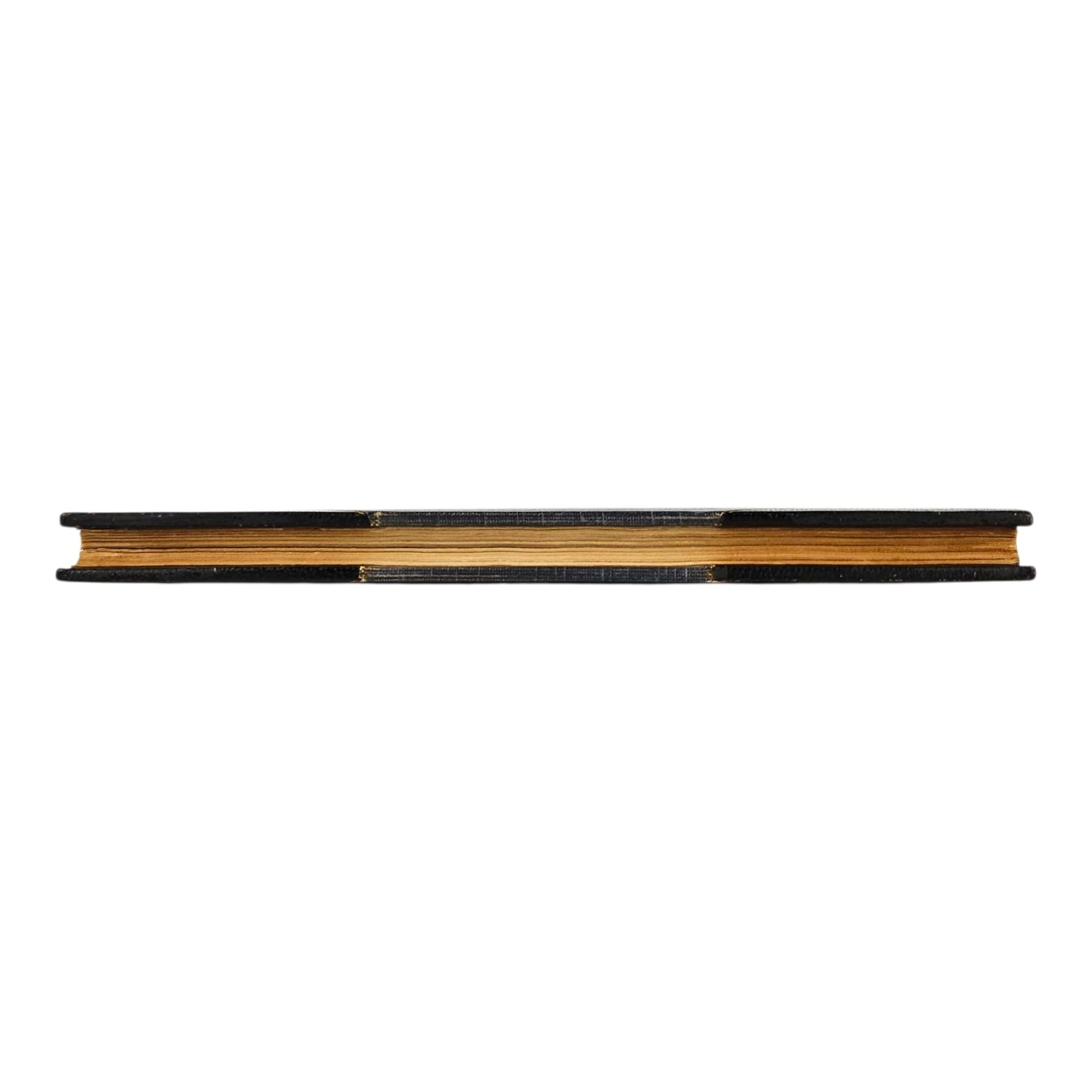 Photoroom-20251129_073512_7.jpg