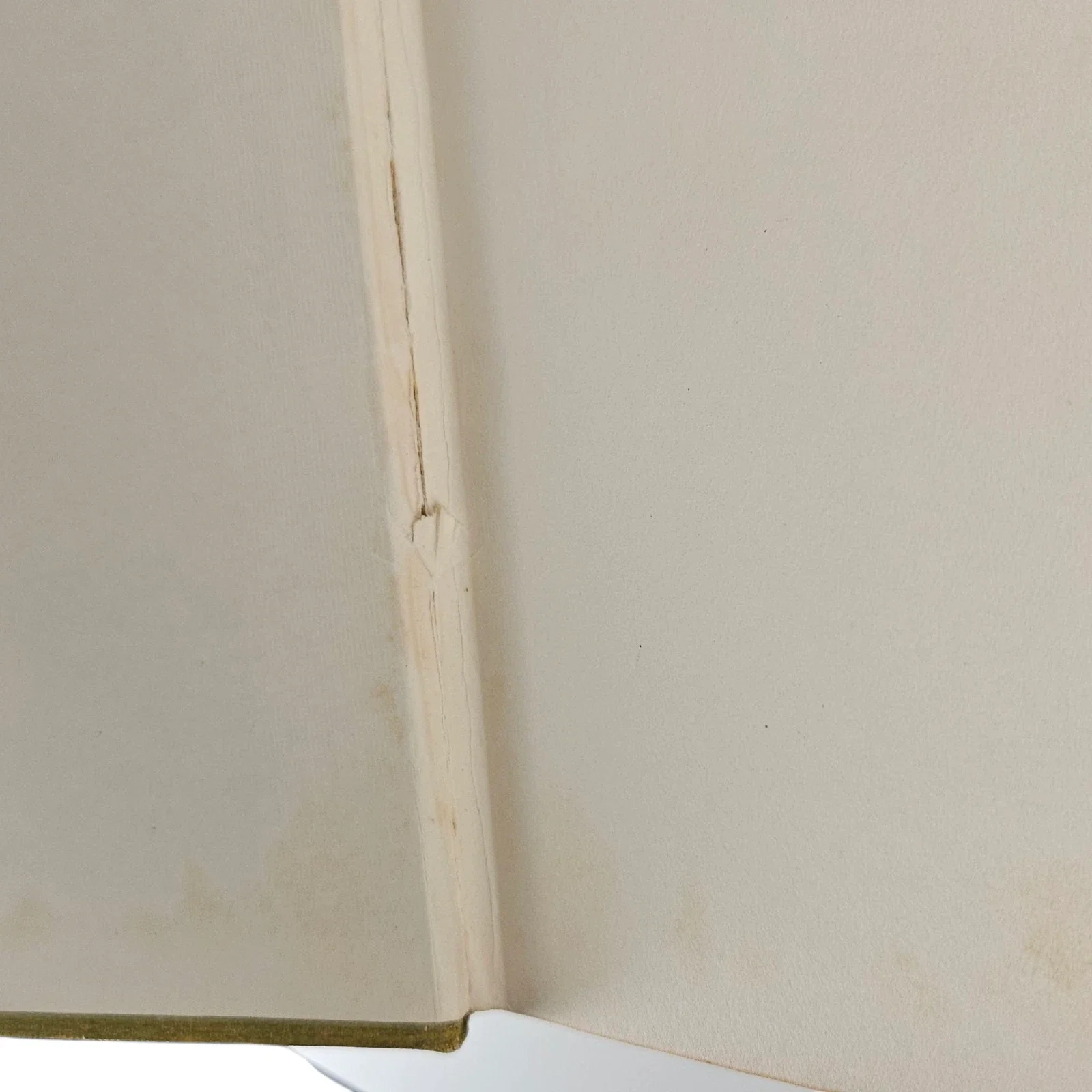 s-l1600 - 2026-06-09T144645.470.webp