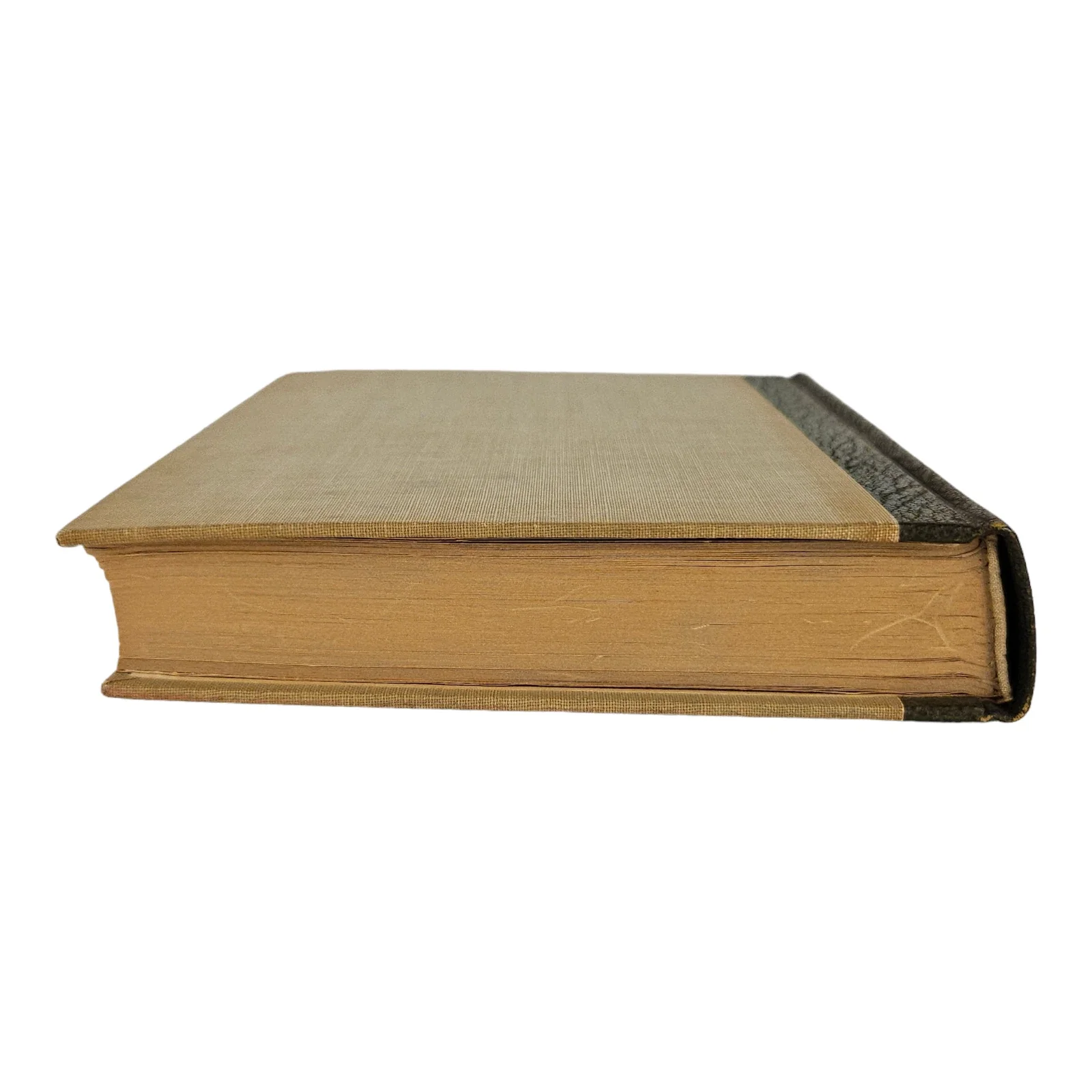 s-l1600 - 2026-06-09T220854.400.webp