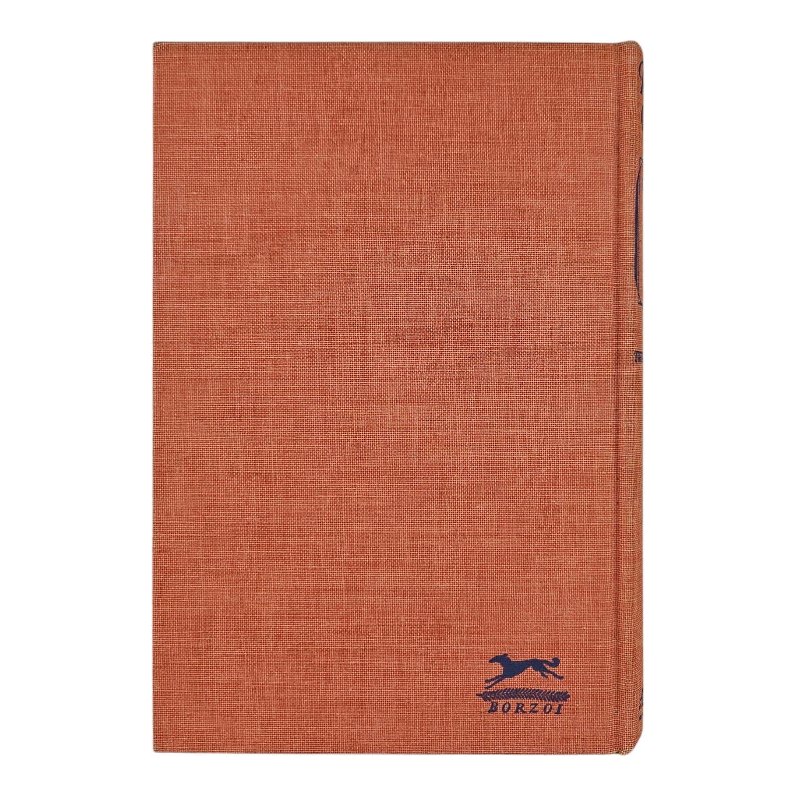 Photoroom-20250210_131808_3.png