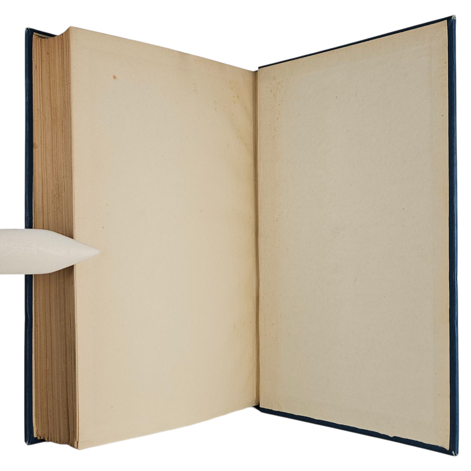 Photoroom-20250907_170507_9.png