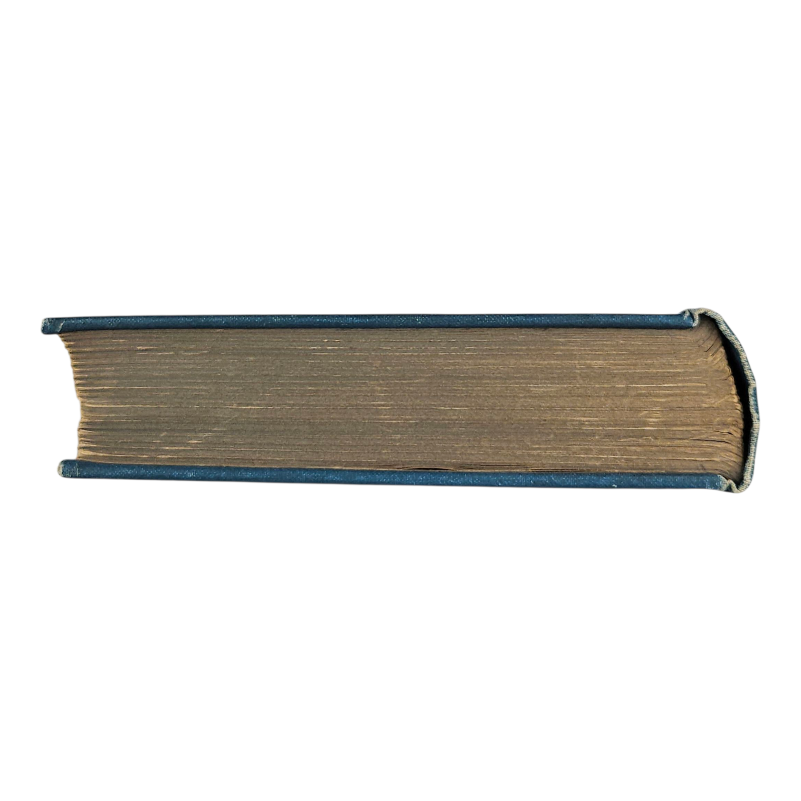 Photoroom-20250907_170507_7.png