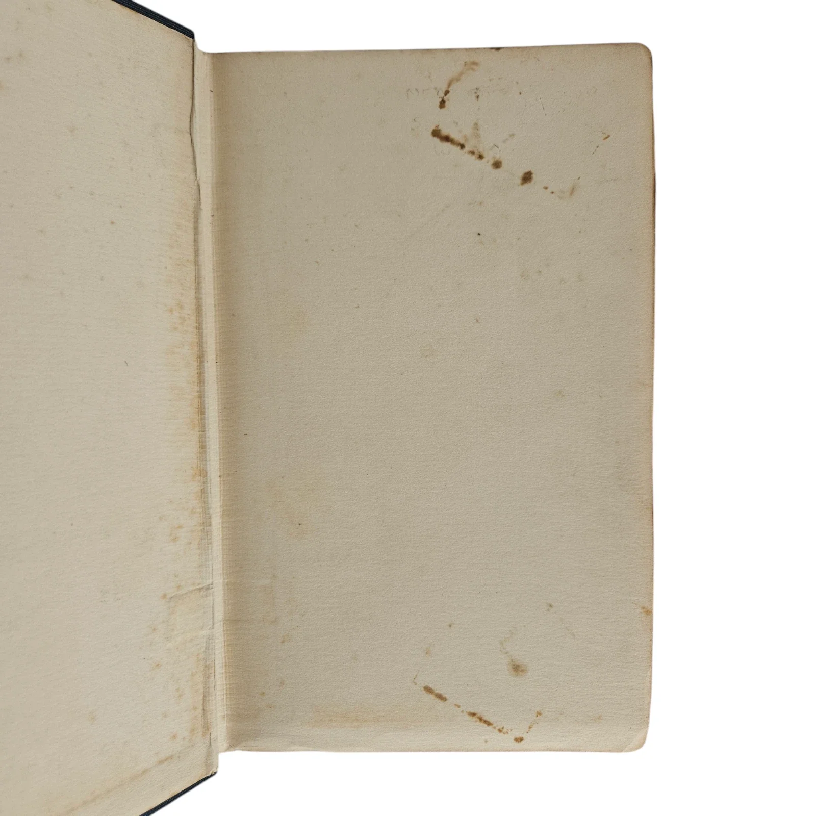 s-l1600 - 2026-06-09T221917.618.webp
