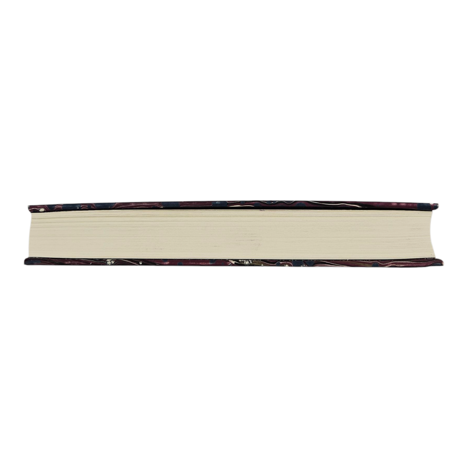 Photoroom-20250517_104727_6.png