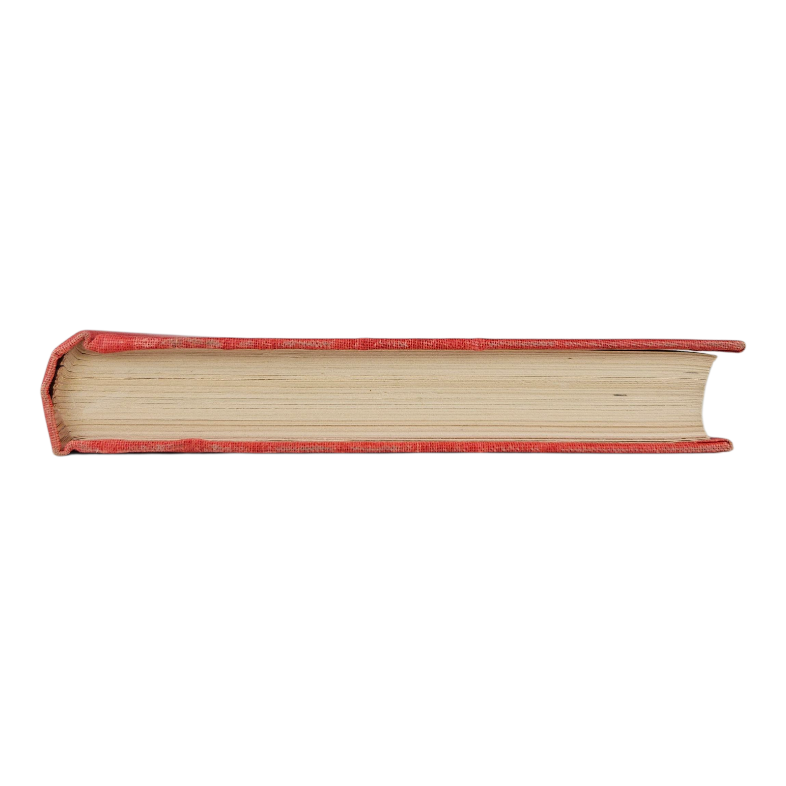 Photoroom-20260103_163502_6.png