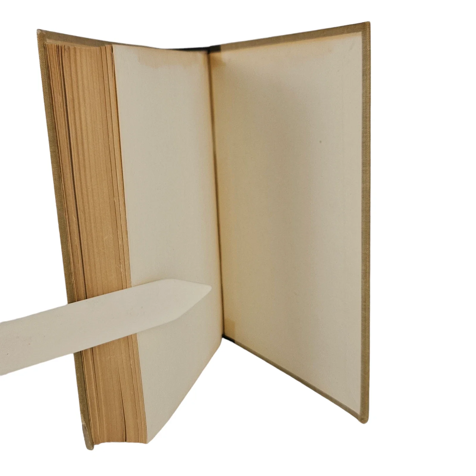 s-l1600 - 2026-06-09T220846.908.webp