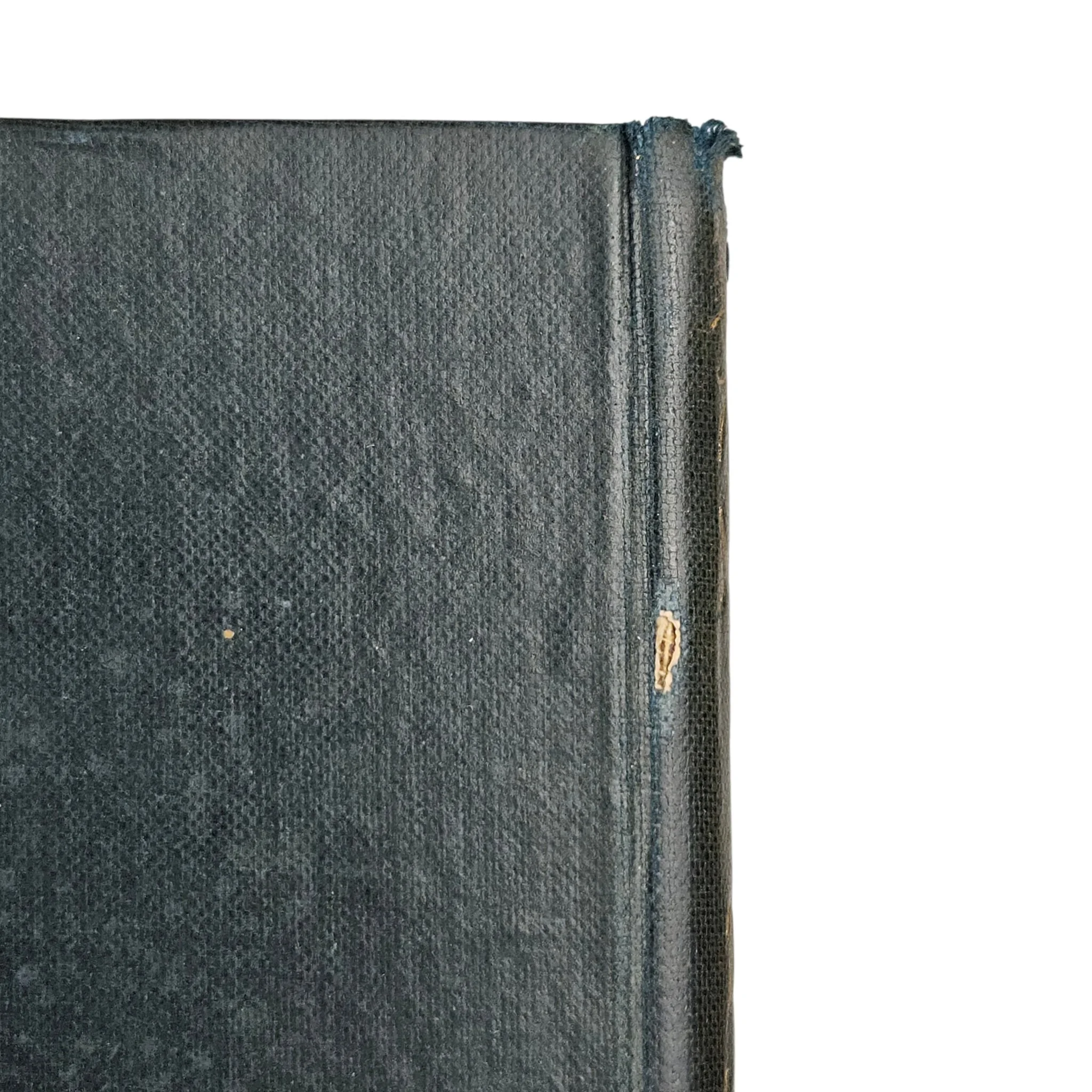 20260401_164939-Photoroom.jpg