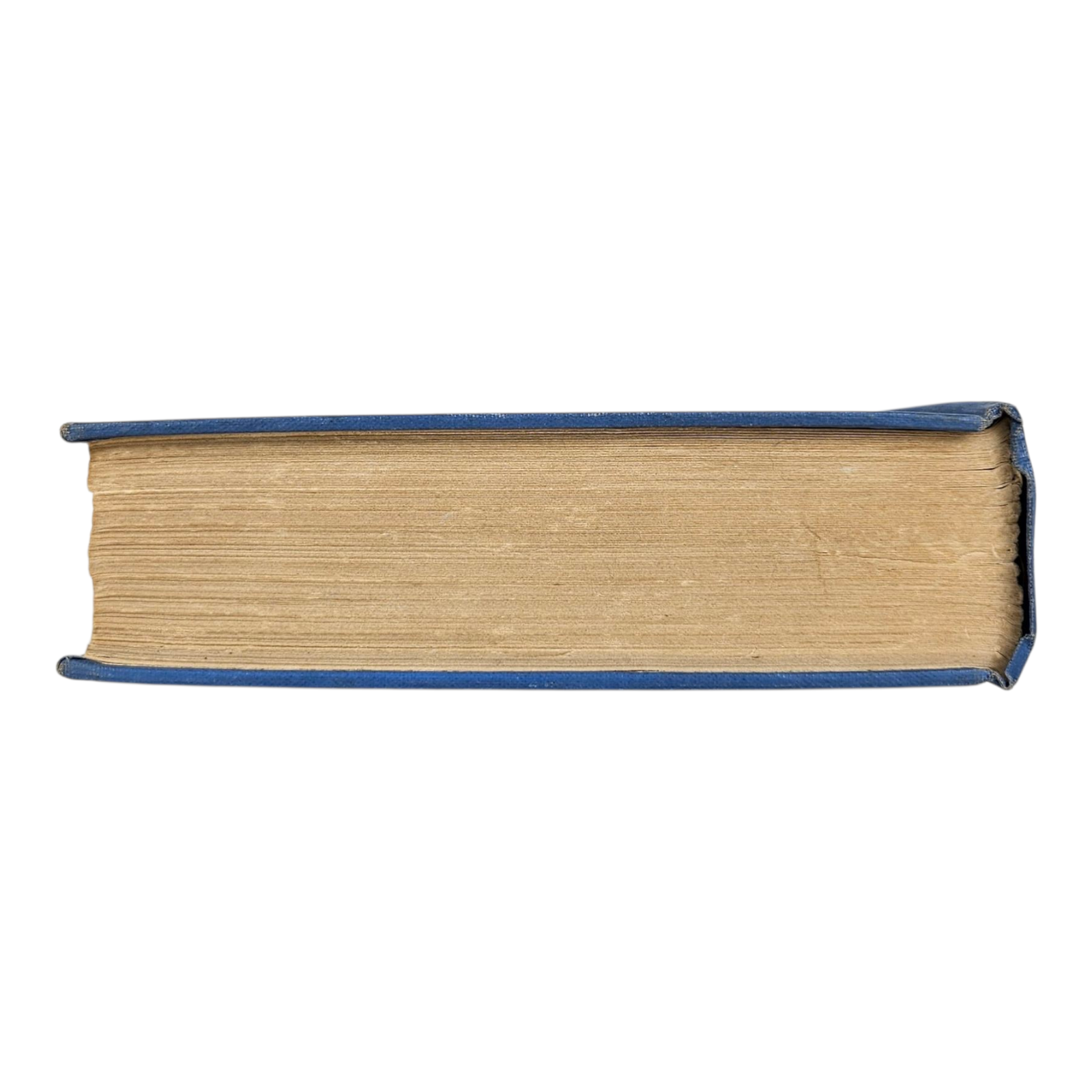 Photoroom-20250816_072307_8.png