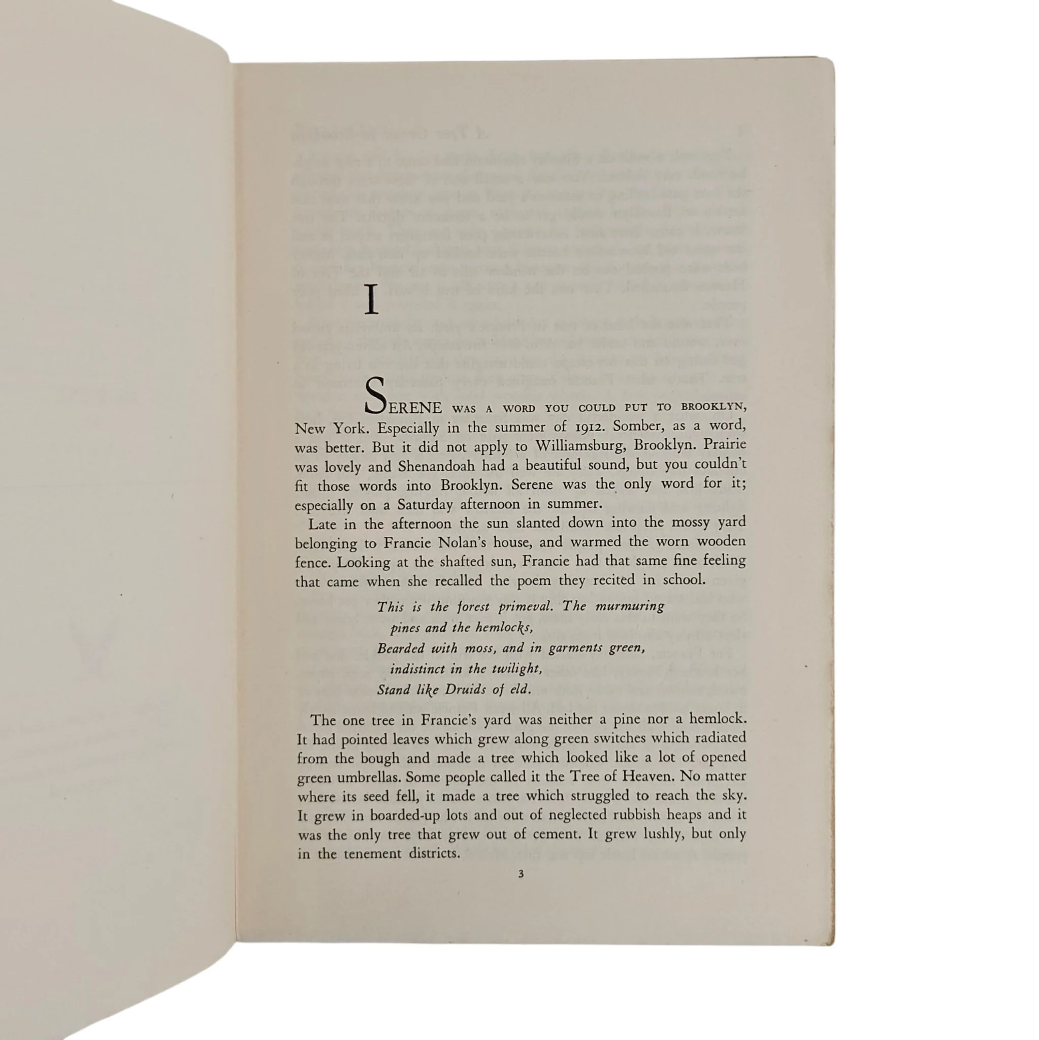 20260919_103608-Photoroom.jpg