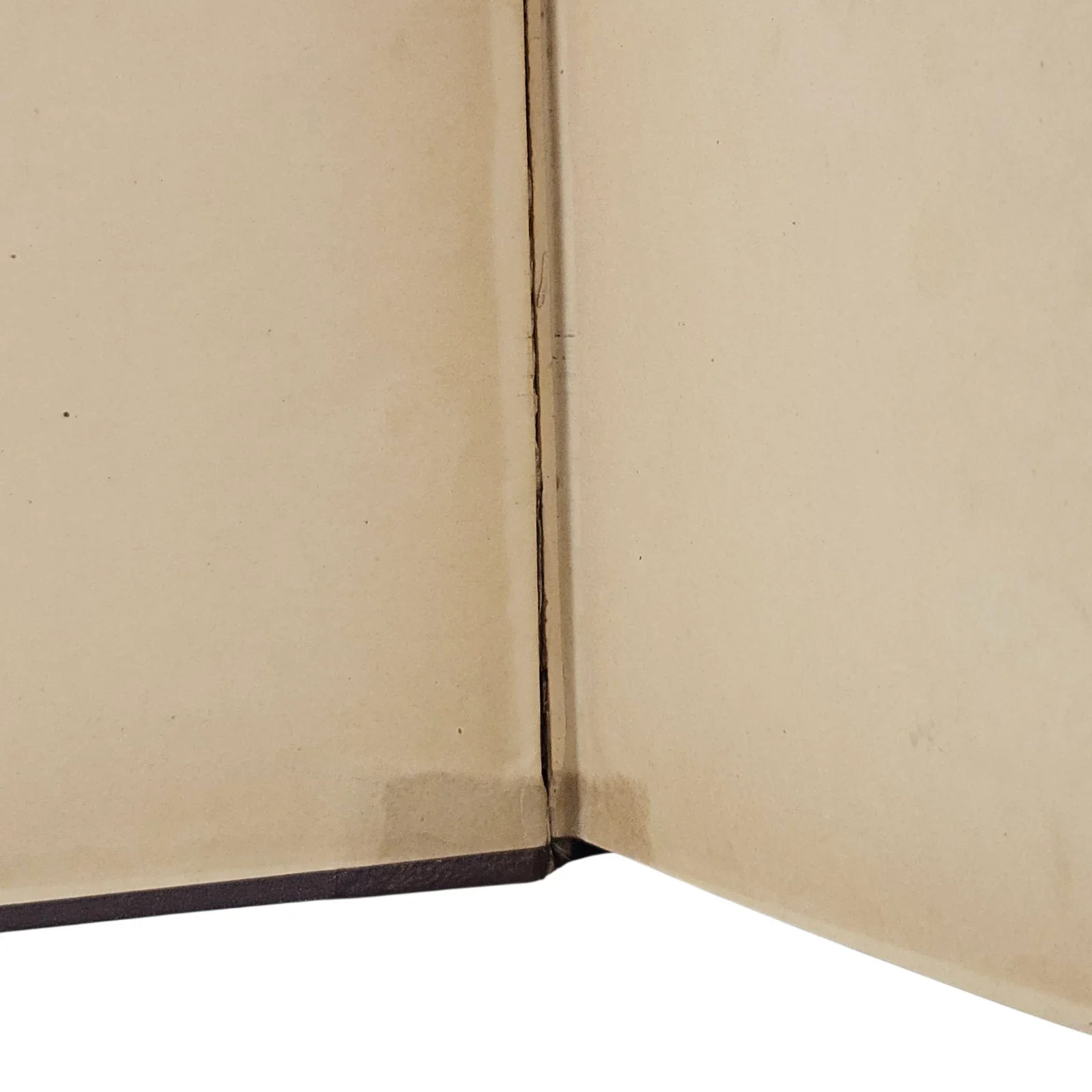 s-l1600 - 2026-06-09T221126.751.webp