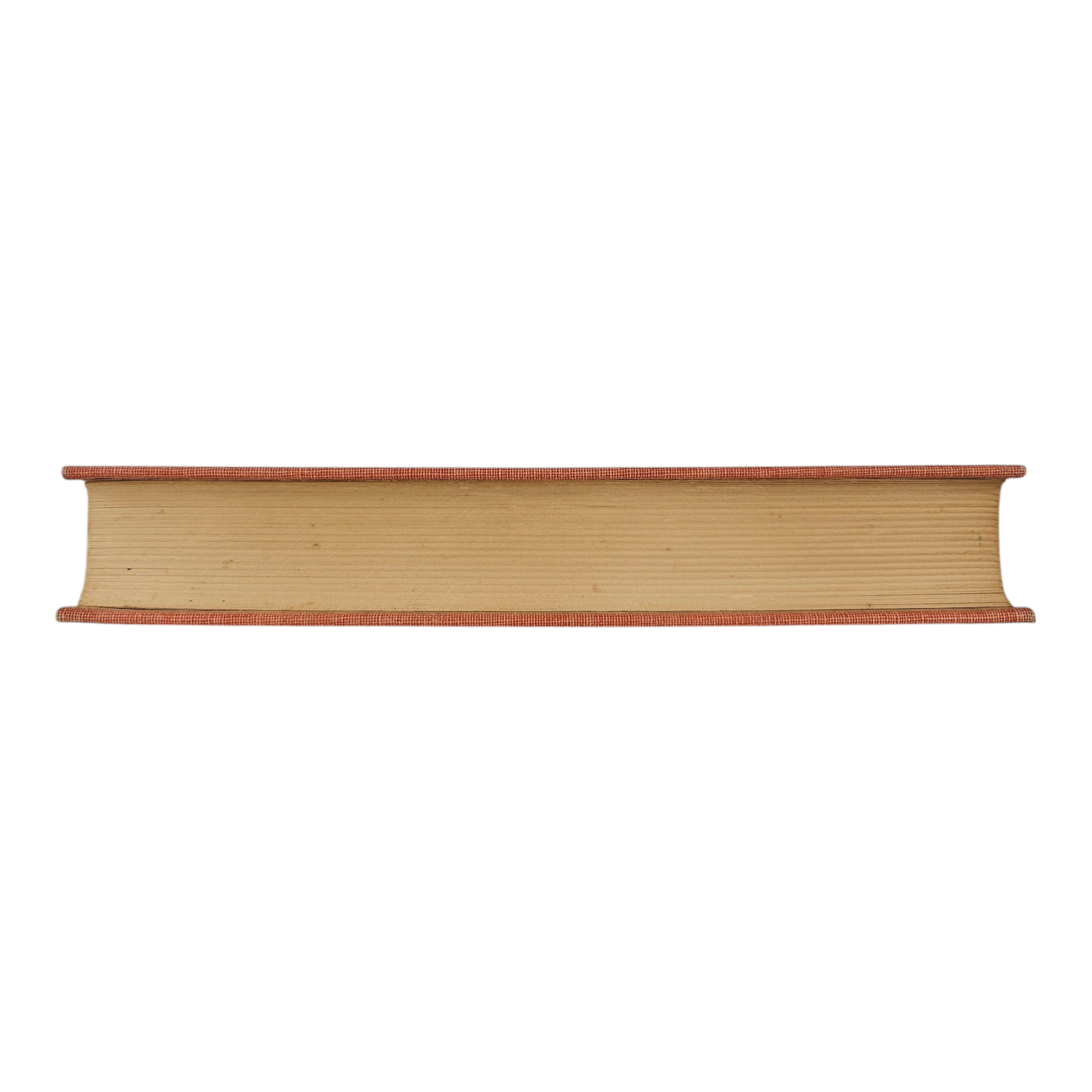 Photoroom-20250210_131808_5.png
