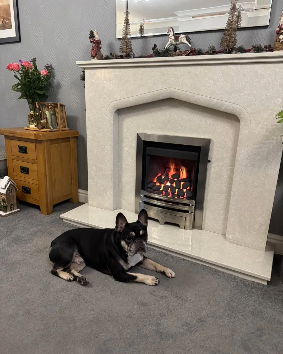 🔥 Happy dog now the fire is fully repaired, serviced, and finished with a fresh repaint of the coals.
Ready to keep warm this winter? DM us for servicing or new installations in the New Year!

#FireService #FireRepair #GasFire #HomeWarmth #WinterRea