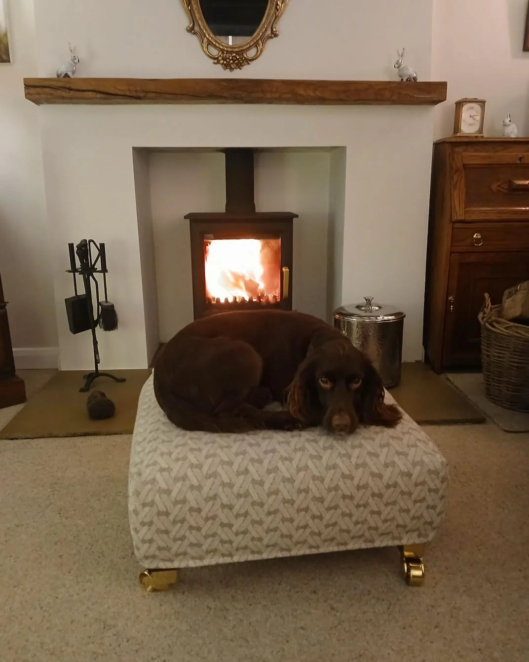 One happy dog (Broon) staying toasty with the new Ecosy Elk stove in Ashbourne 🐶🔥
DM for quotes/installs!

#woodburner #woodburningstove #stoveinstall #ecosystove #elkstove #stoveinstaller #ashbourne #homeheating #cozyhome #beforeandafter #logburne