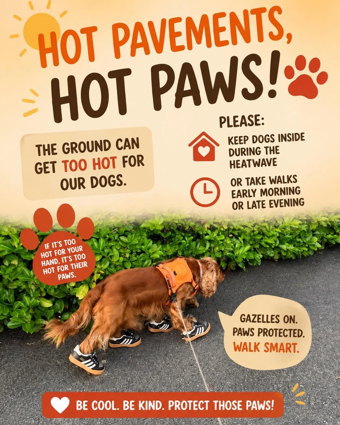 We normally bring the heat&hellip; just not this kind 😅🔥

While we&rsquo;re busy fitting fireplaces and stoves, the sun is taking care of the heating outside.

Quick reminder from us (and our four-legged site supervisor 🐶):

☀️ Hot pavement can se