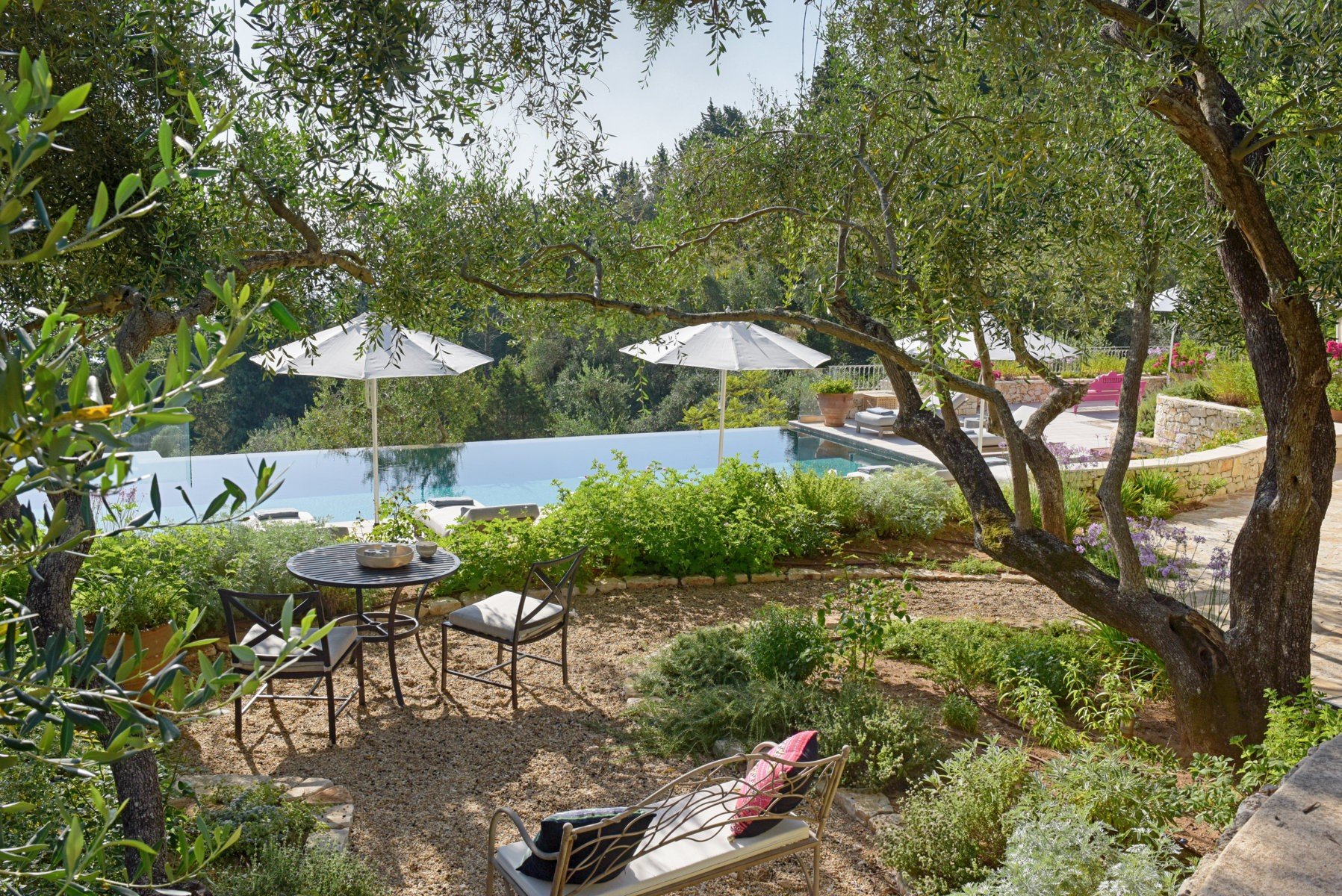 Villa Persephone olive trees.jpg