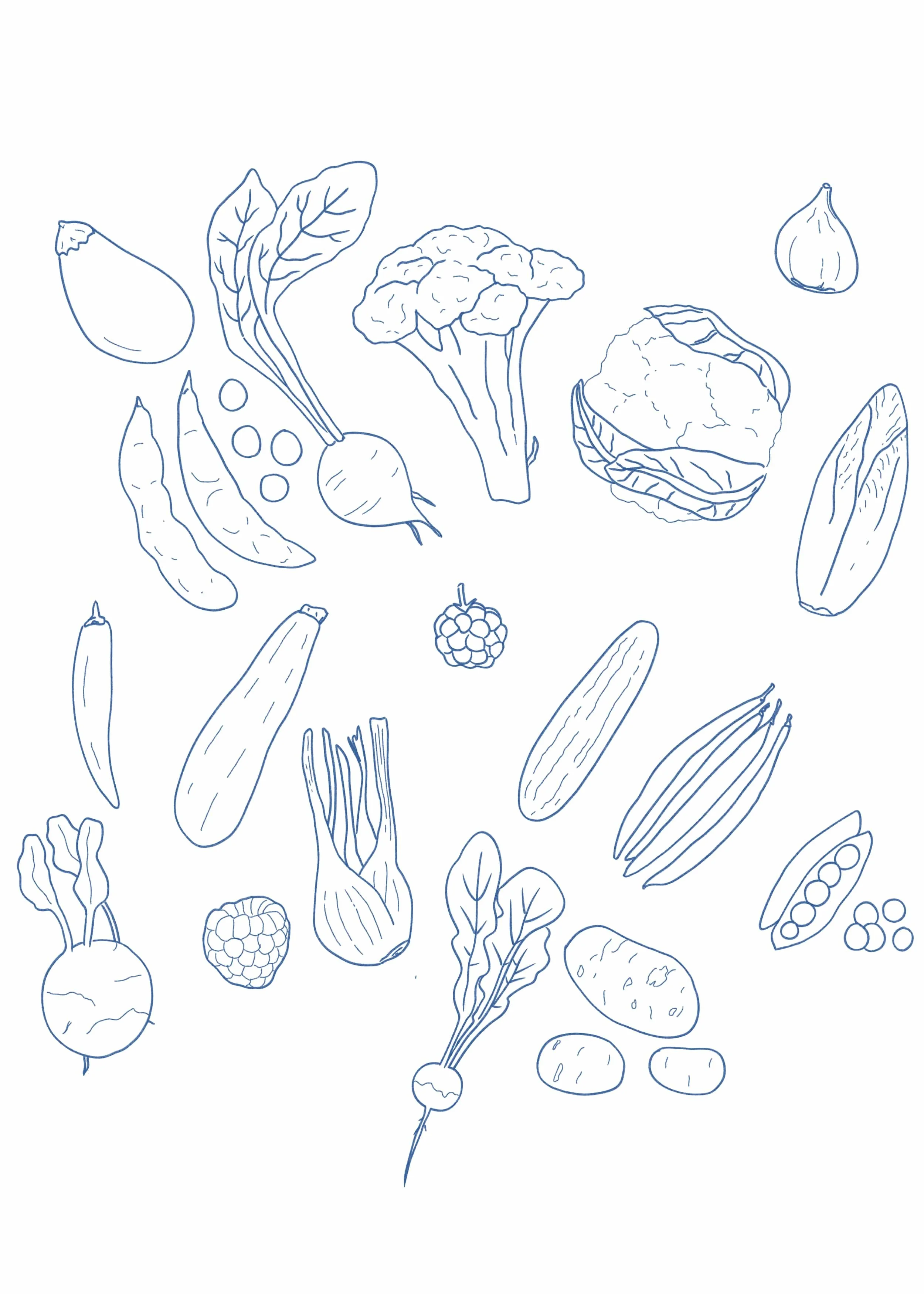Outline drawing of various vegetables including broccoli, cauliflower, carrots, cucumbers, peas, radishes, lettuce, potatoes, and garlic.