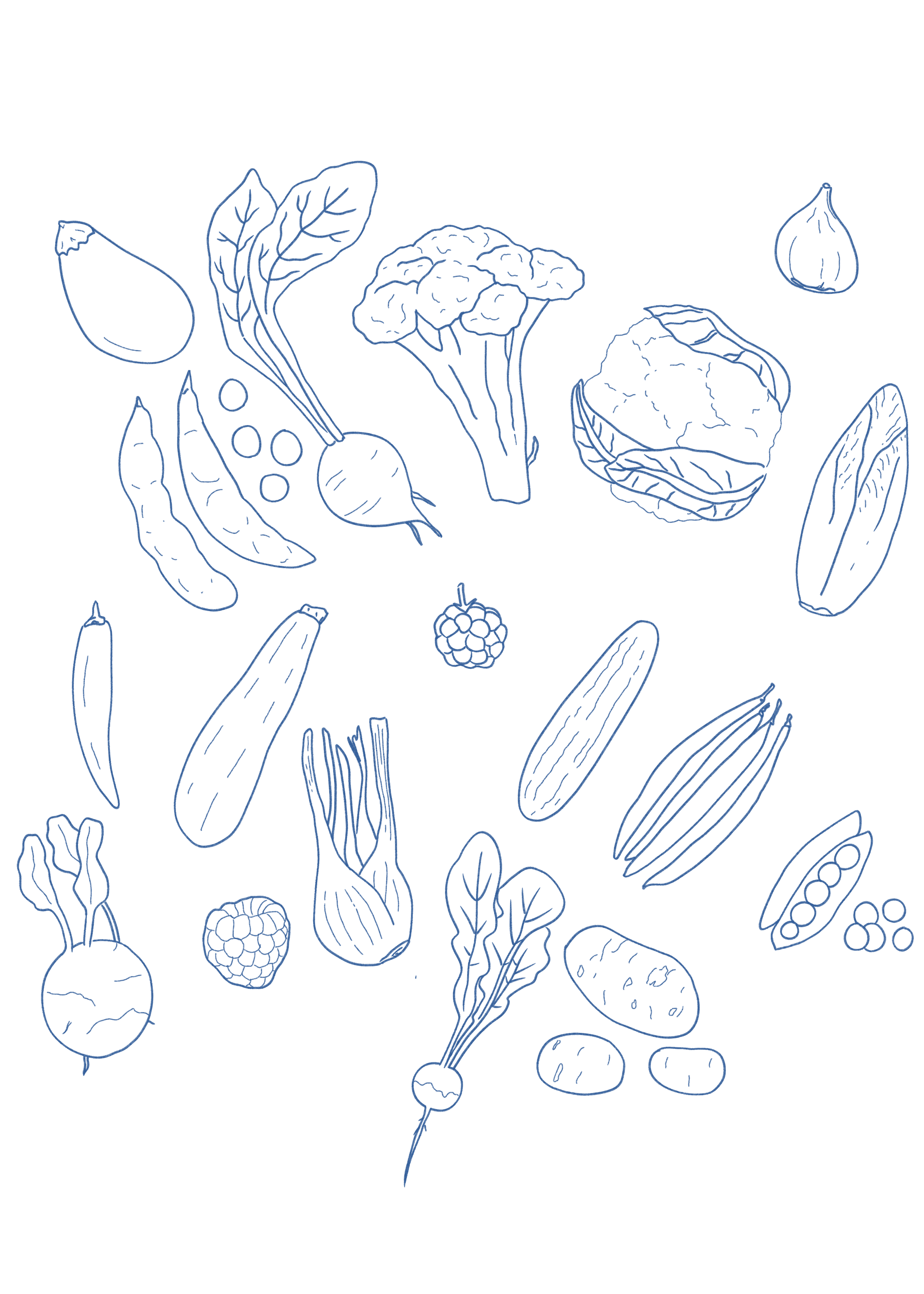 Line drawing of various vegetables including cauliflower, broccoli, garlic, cucumber, zucchini, peas, sweet potato, onion, leafy greens, and berries, scattered randomly.