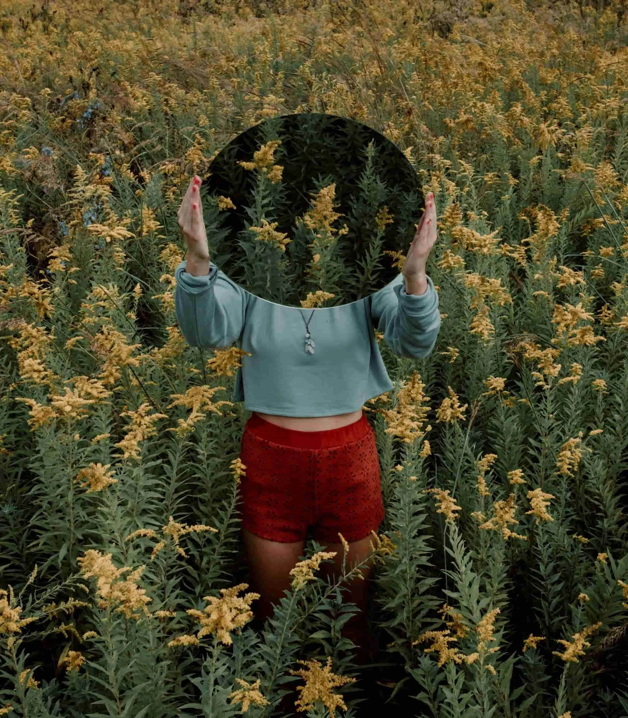Person standing in a field of yellow flowers, holding a mirror reflecting green plants, with their face not visible.