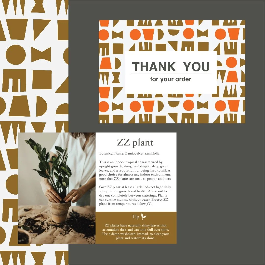 A graphic design with a thank you message for an order, featuring abstract geometric patterns in brown, orange, and white. There is a photograph of a person planting or repotting a ZZ plant, with informational text about the ZZ plant and tips on caring for it.
