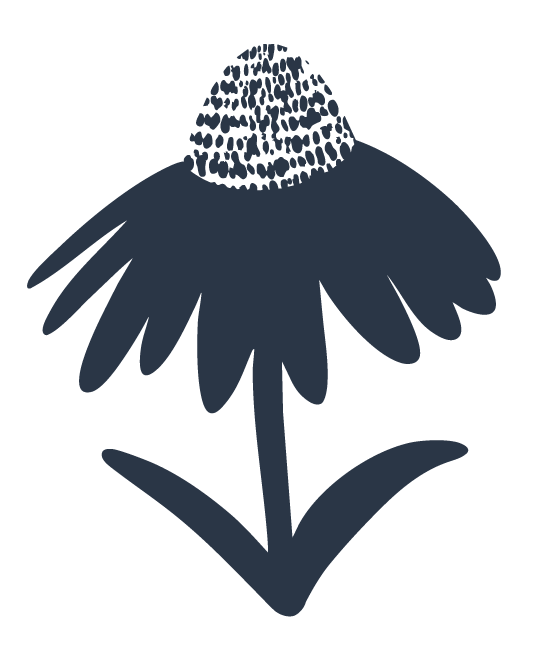 A stylized silhouette of a coneflower with a large, textured central cone and drooping petals, and a single leaf on its stem.