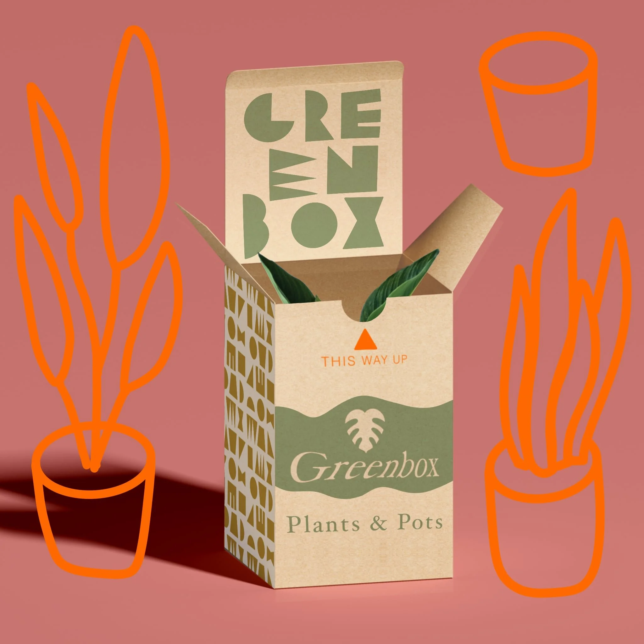 An open cardboard box labeled 'Greenbox Plants & Pots' with two green leaves inside, placed on a pink background. Two illustrated potted plants with orange outlines are on either side of the box, and an orange outline of a cup is floating above the right pot.