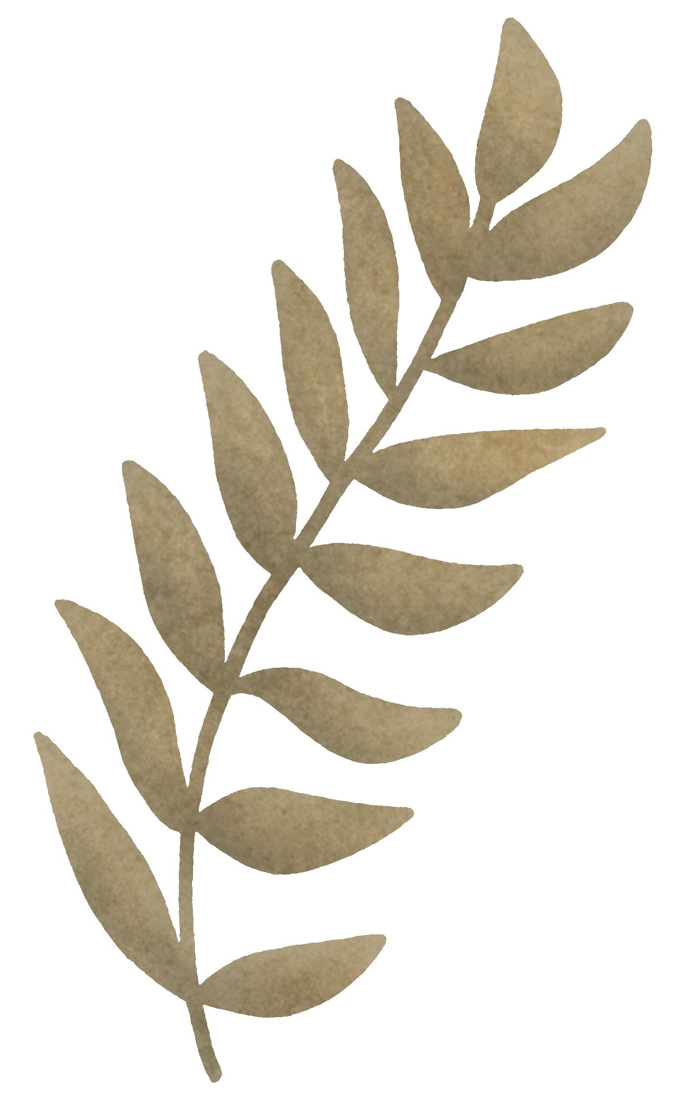 A decorative illustration of a beige or tan-colored leaf on a black background.