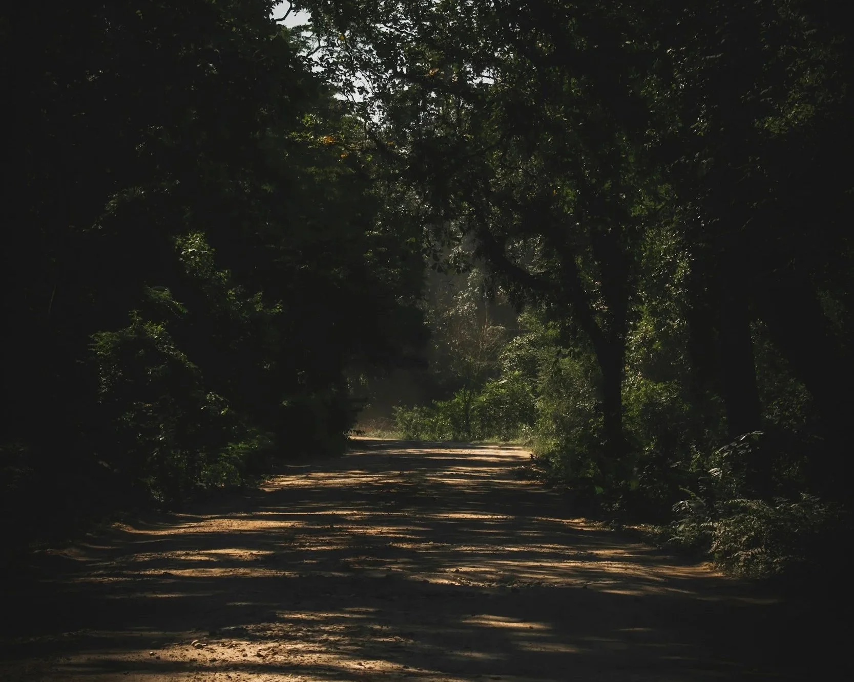 unsplash-image-pwf59m6j-h8.jpg