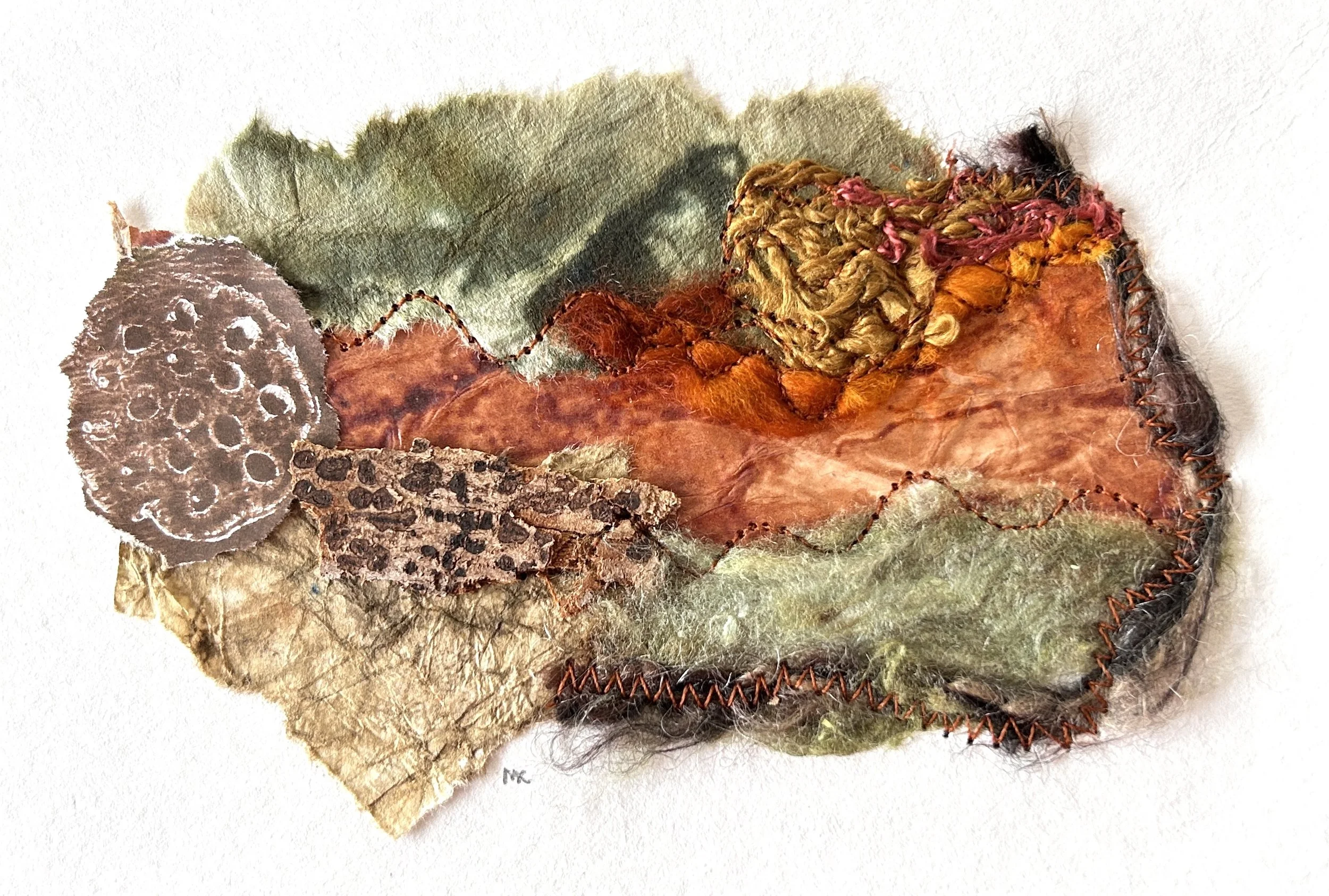 Forest Floor - September 28